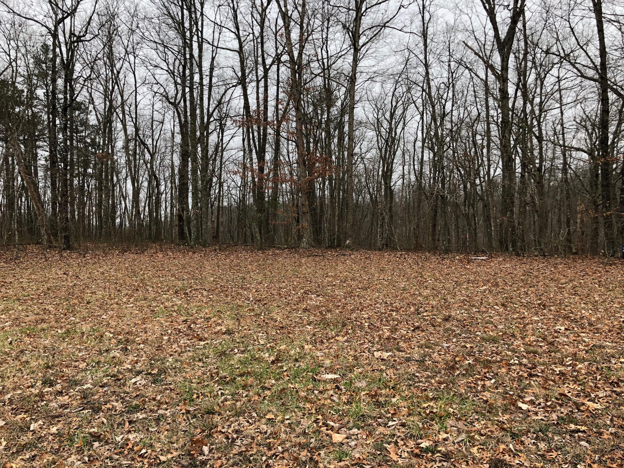Point Place, Unit 4 Monterey, TN 38574 - Photo 1 of 6 unnamed (4)