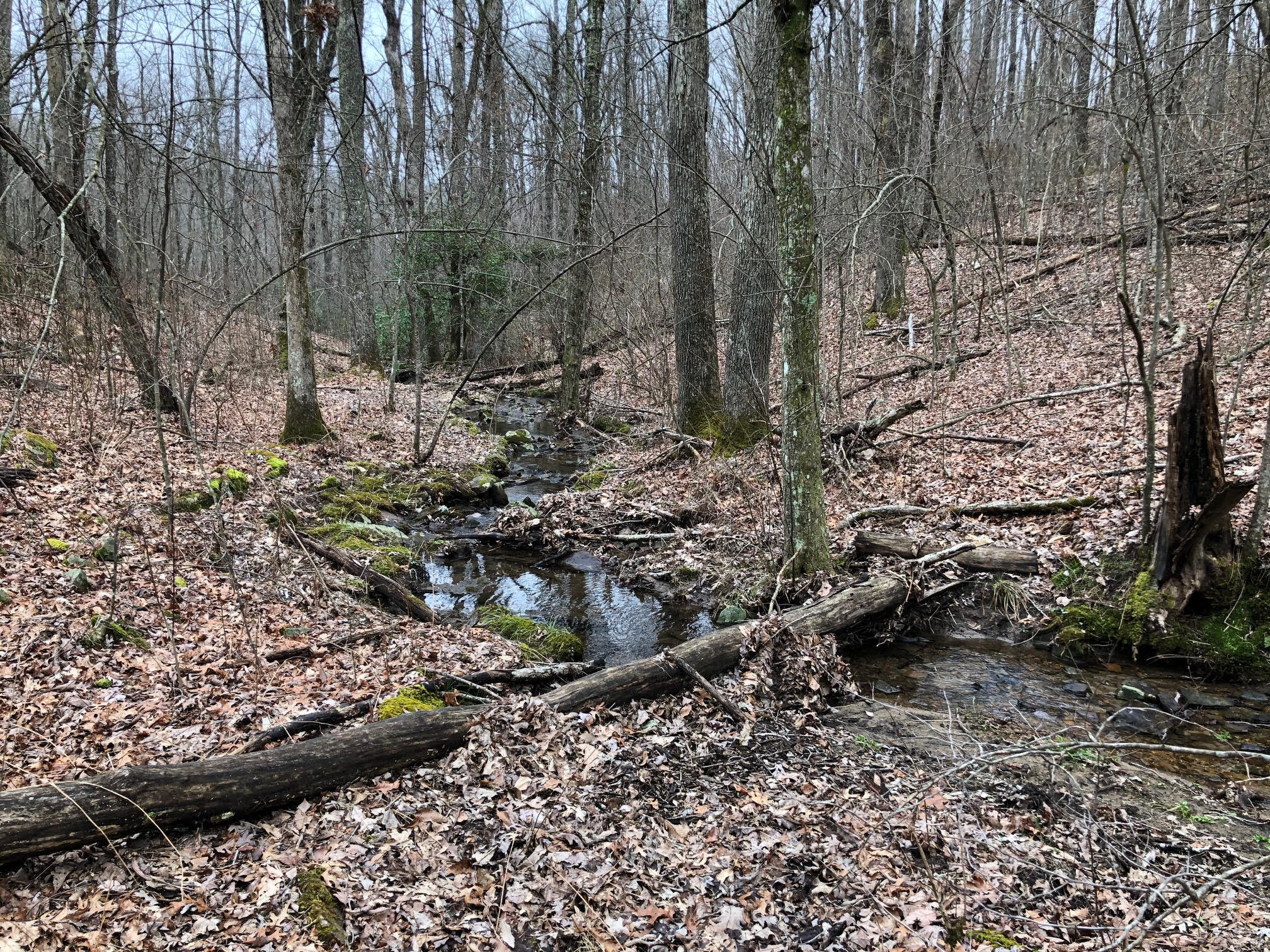Point Place, Unit 4 Monterey, TN 38574 - Photo 2 of 6 unnamed (3)