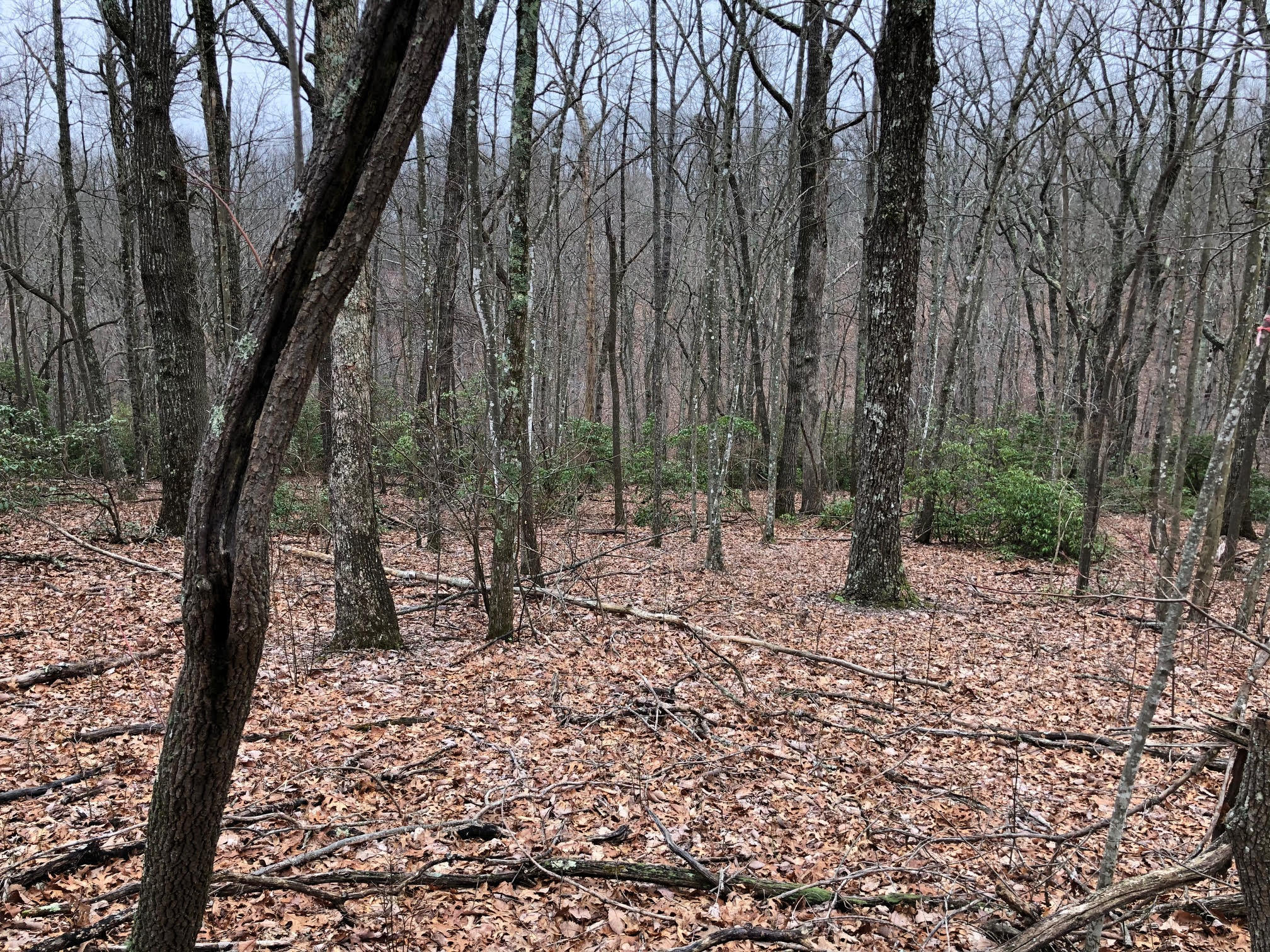 Point Place, Unit 4 Monterey, TN 38574 - Photo 3 of 6 unnamed (1)