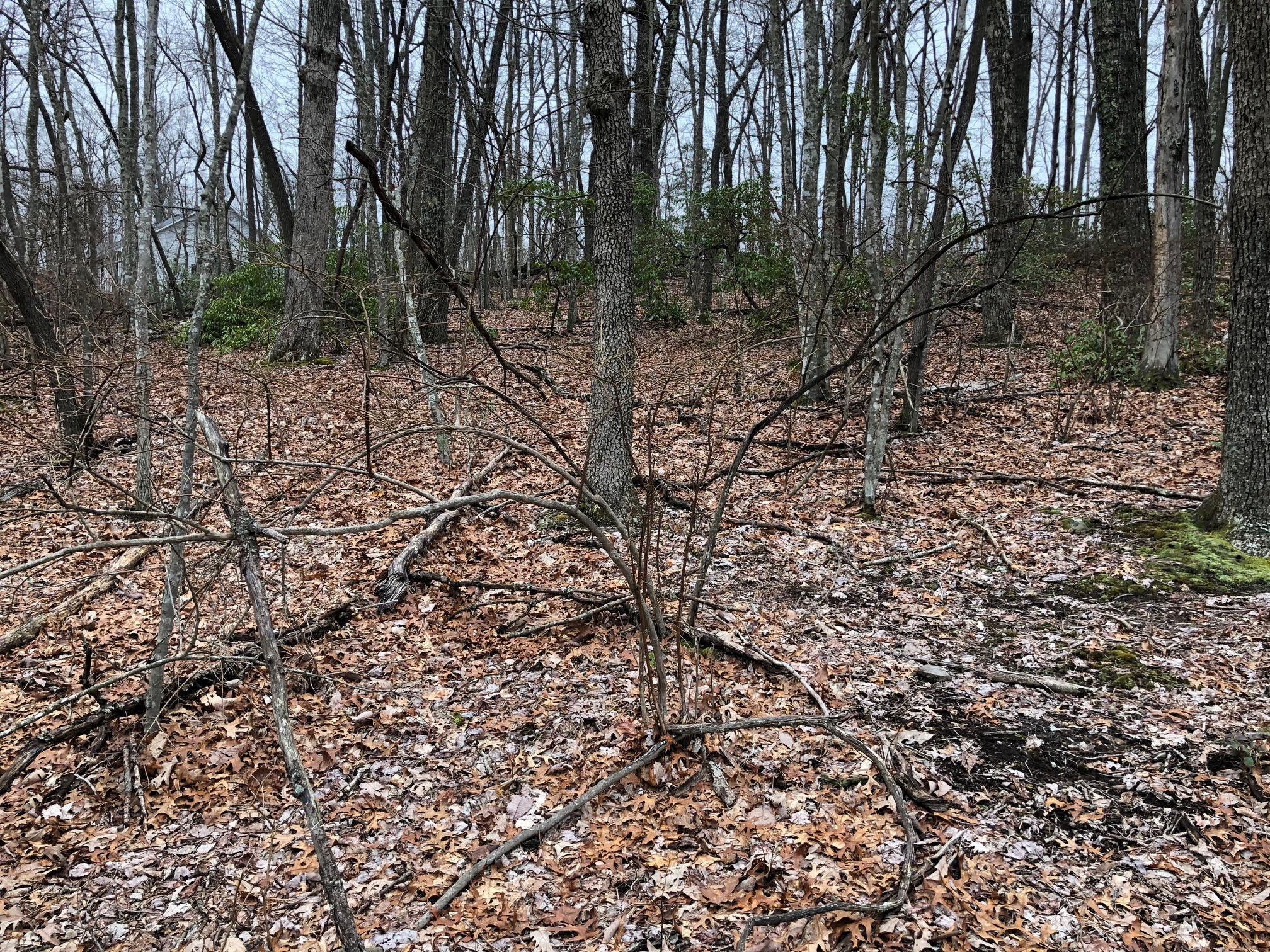 Point Place, Unit 4 Monterey, TN 38574 - Photo 5 of 6 unnamed (2)