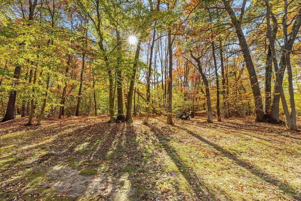 230 Irondequoit Road Franklin, MA 02038 - Photo 35 of 36 a view of a yard with trees