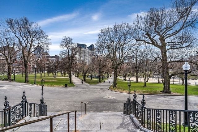 a view of a park with large trees