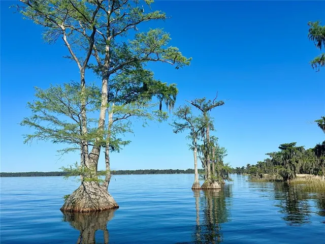 $464,900 | 6203 West Boulevard, Melrose, FL 32666