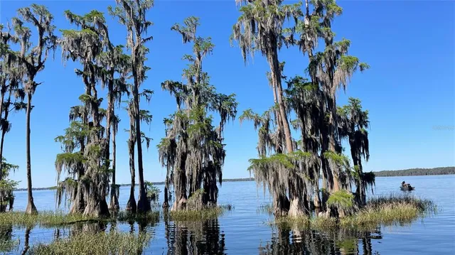 $464,900 | 6203 West Boulevard, Melrose, FL 32666