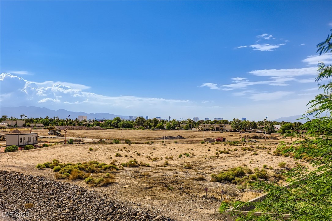 2792 Fountain Ridge Lane Henderson, NV 89074 - Photo 30 of 47