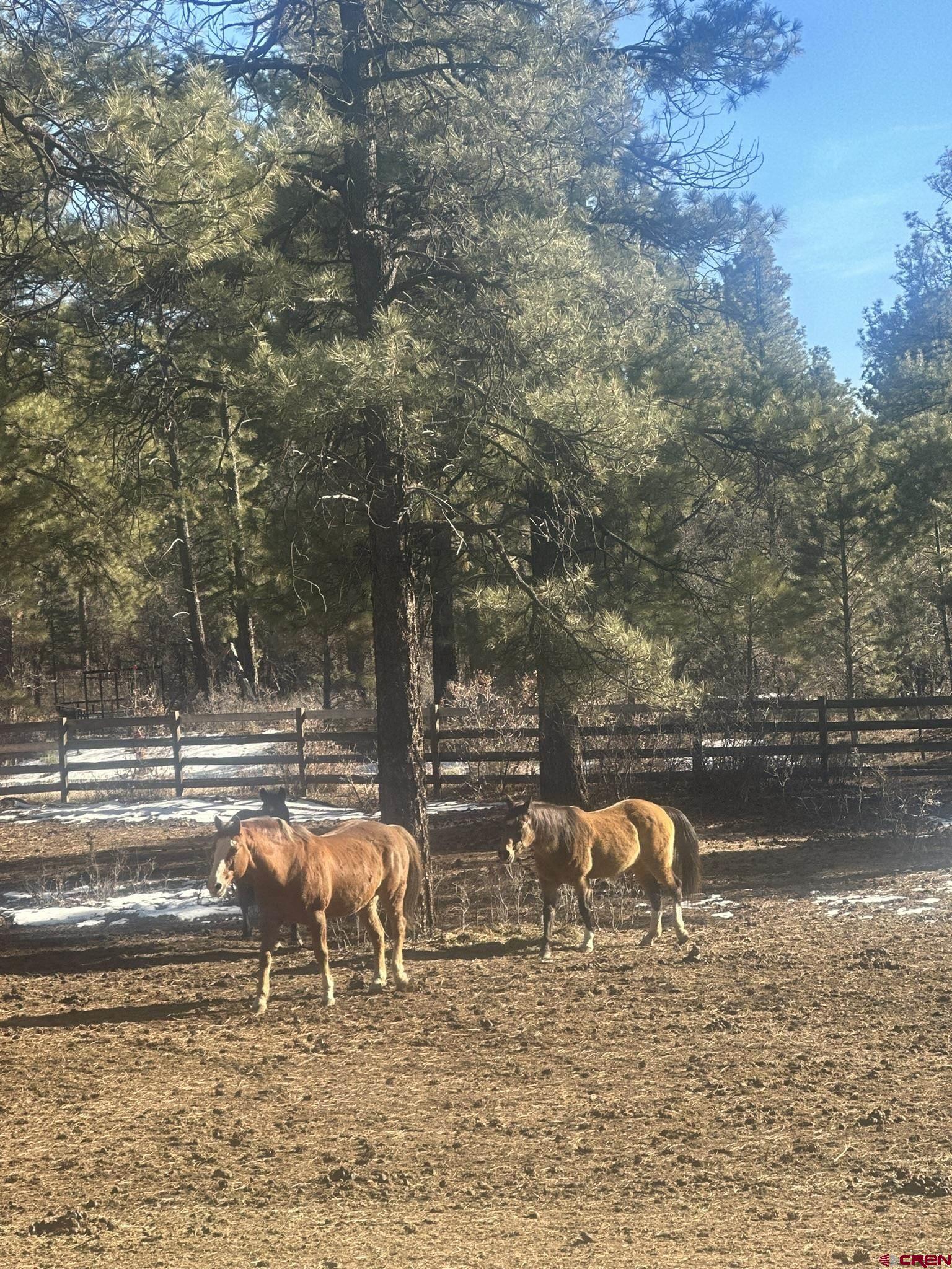 513 West Log Hill Road Pagosa Springs, CO 81147 - Photo 10 of 20