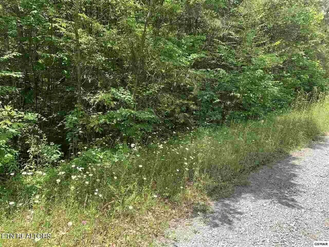 $15,500 | Lot 34 Hedge Maple Way, Del Rio, TN 37727