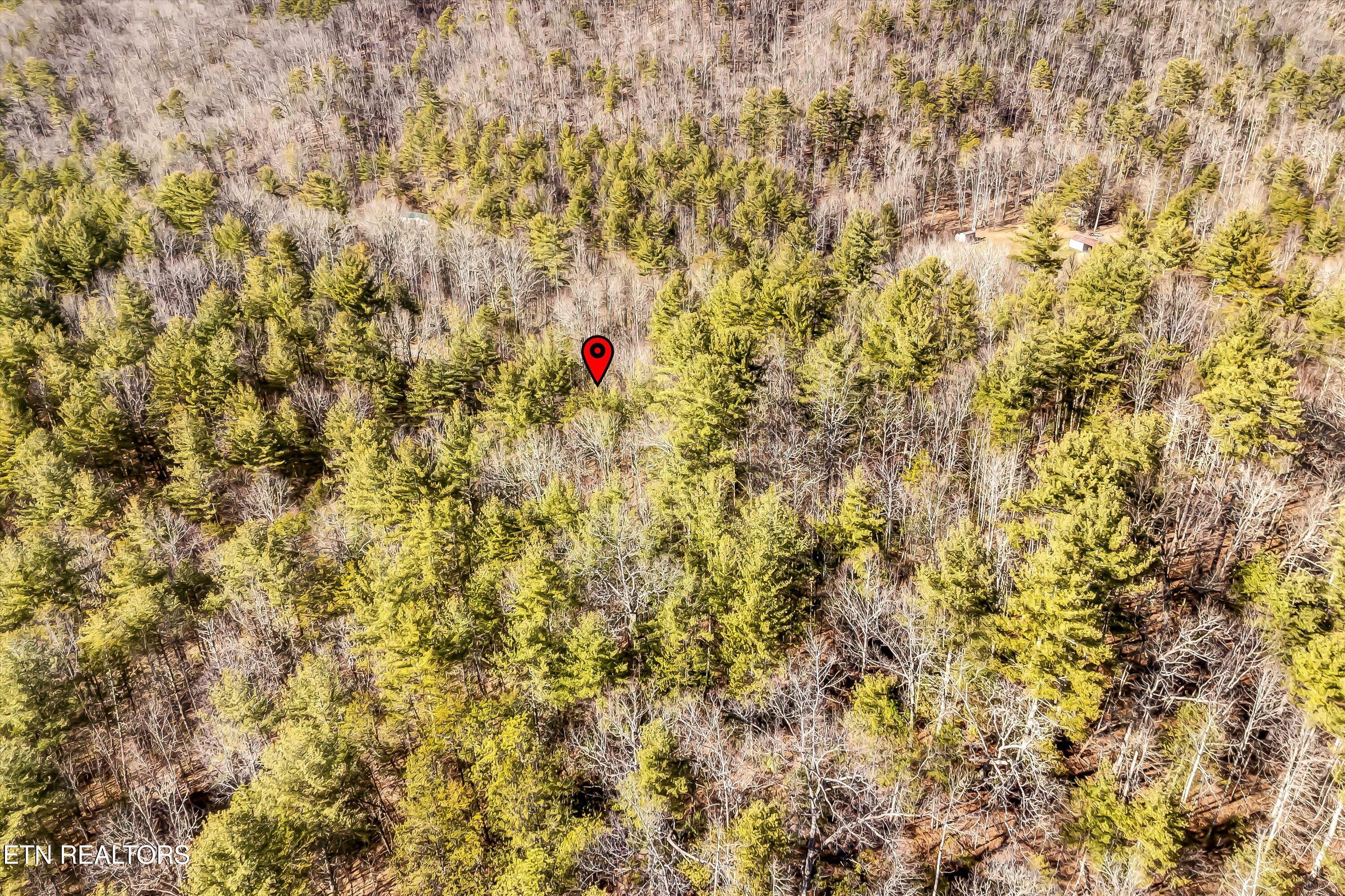 Lot 34 Hedge Maple Way Del Rio, TN 37727 - Photo 11 of 24 10-Hedge Maple Way Lot 34-10