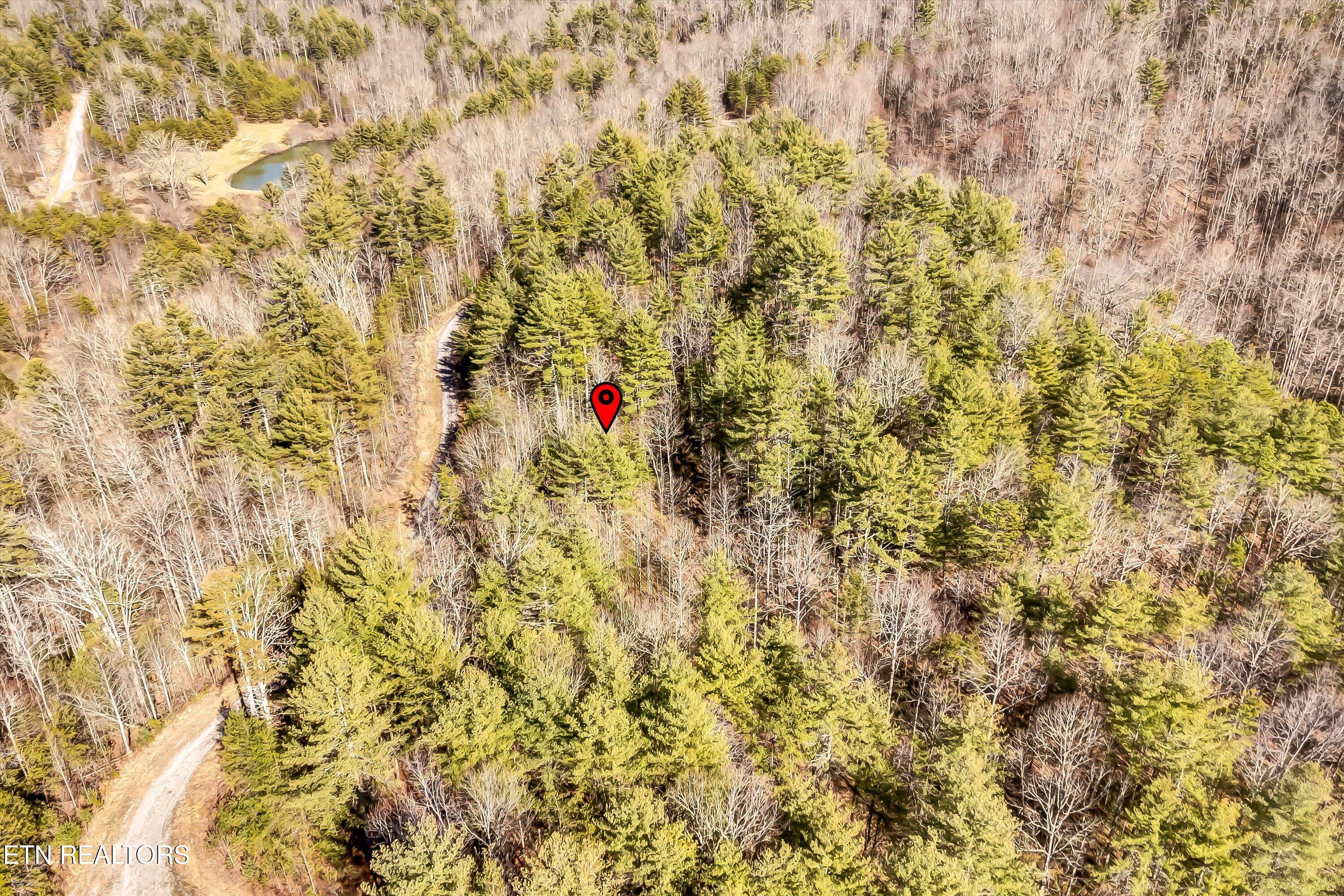 Lot 34 Hedge Maple Way Del Rio, TN 37727 - Photo 13 of 24 14-Hedge Maple Way Lot 34-14