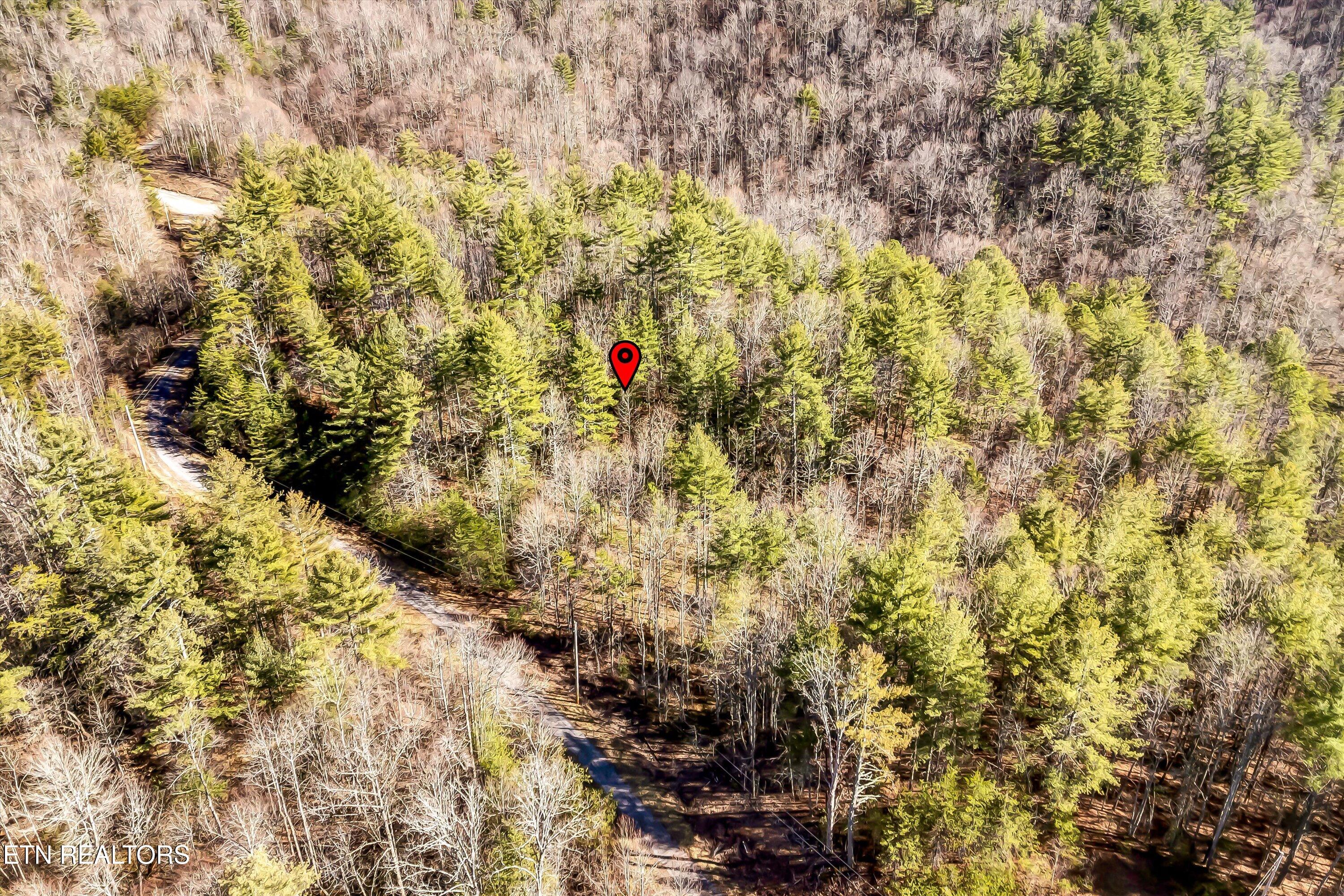 Lot 34 Hedge Maple Way Del Rio, TN 37727 - Photo 14 of 24 16-Hedge Maple Way Lot 34-16