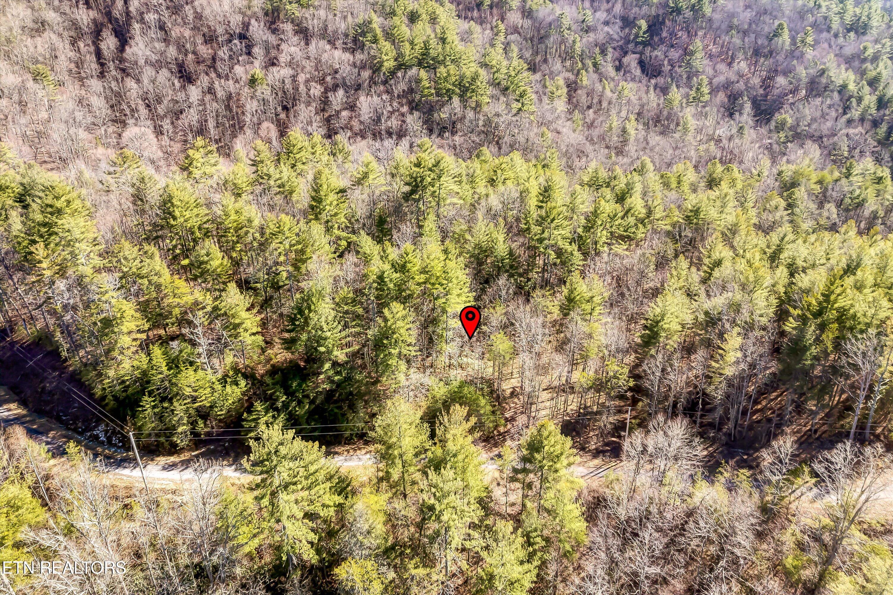 Lot 34 Hedge Maple Way Del Rio, TN 37727 - Photo 15 of 24 18-Hedge Maple Way Lot 34-18