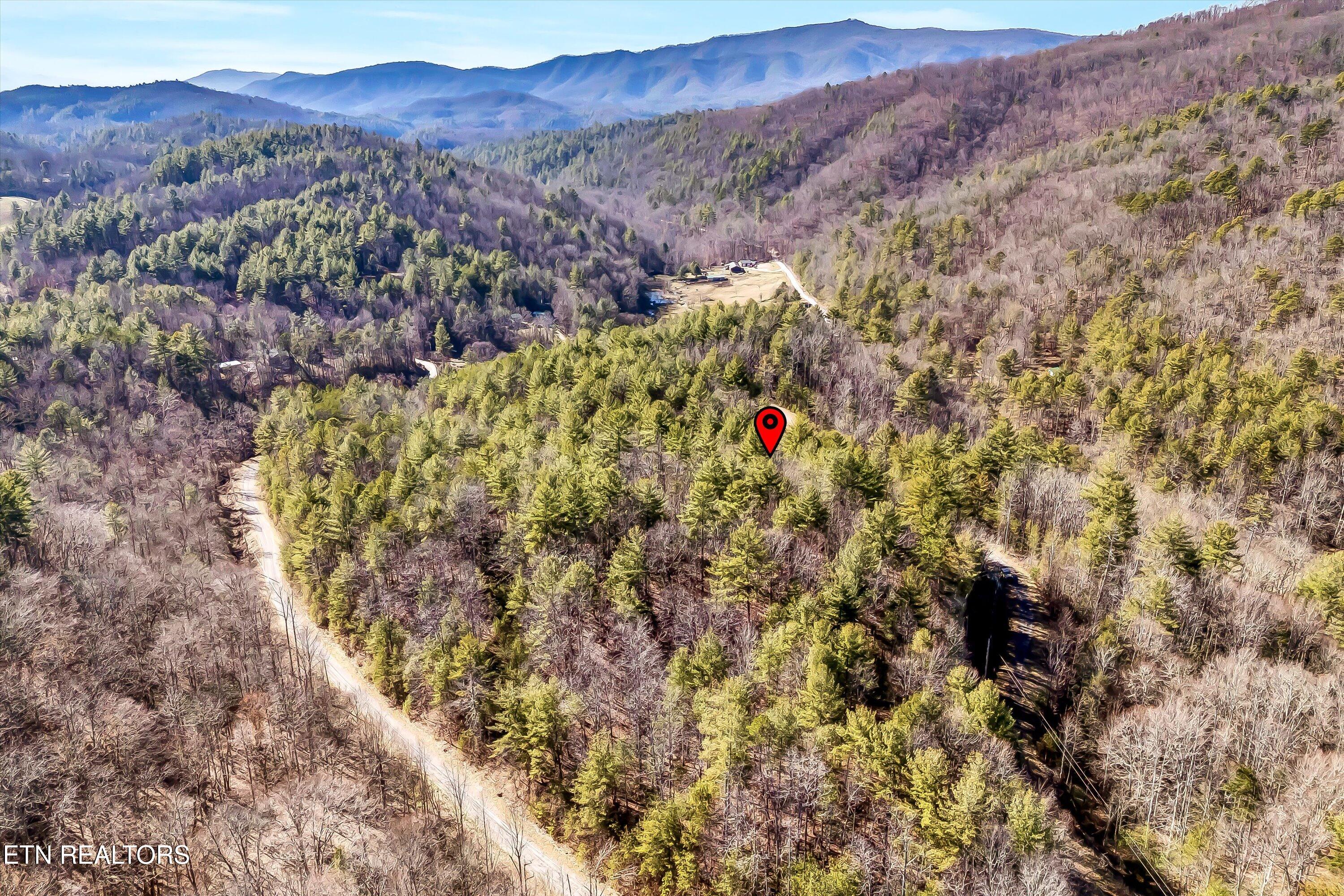 Lot 34 Hedge Maple Way Del Rio, TN 37727 - Photo 18 of 24 24-Hedge Maple Way Lot 34-24