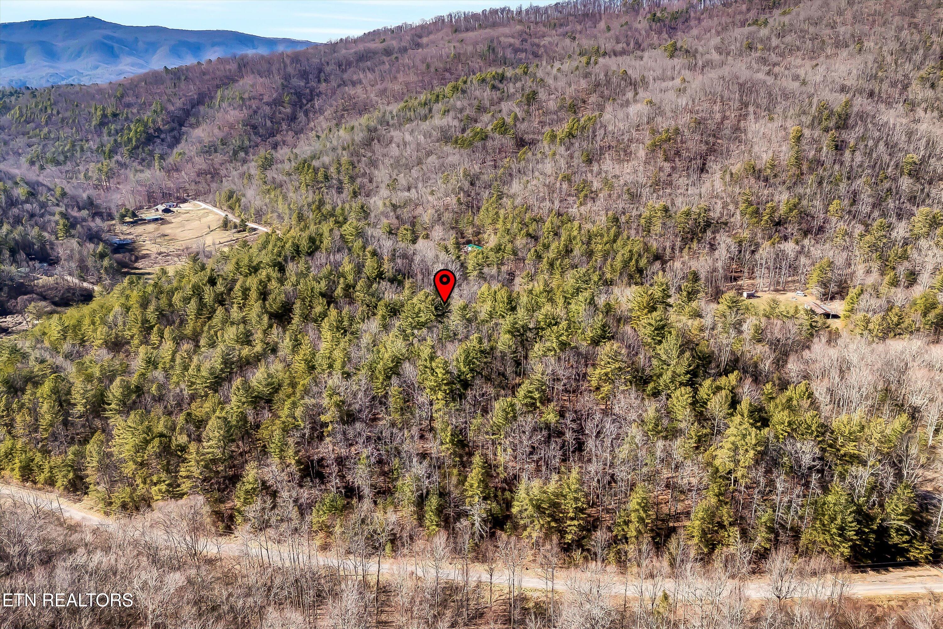 Lot 34 Hedge Maple Way Del Rio, TN 37727 - Photo 19 of 24 26-Hedge Maple Way Lot 34-26