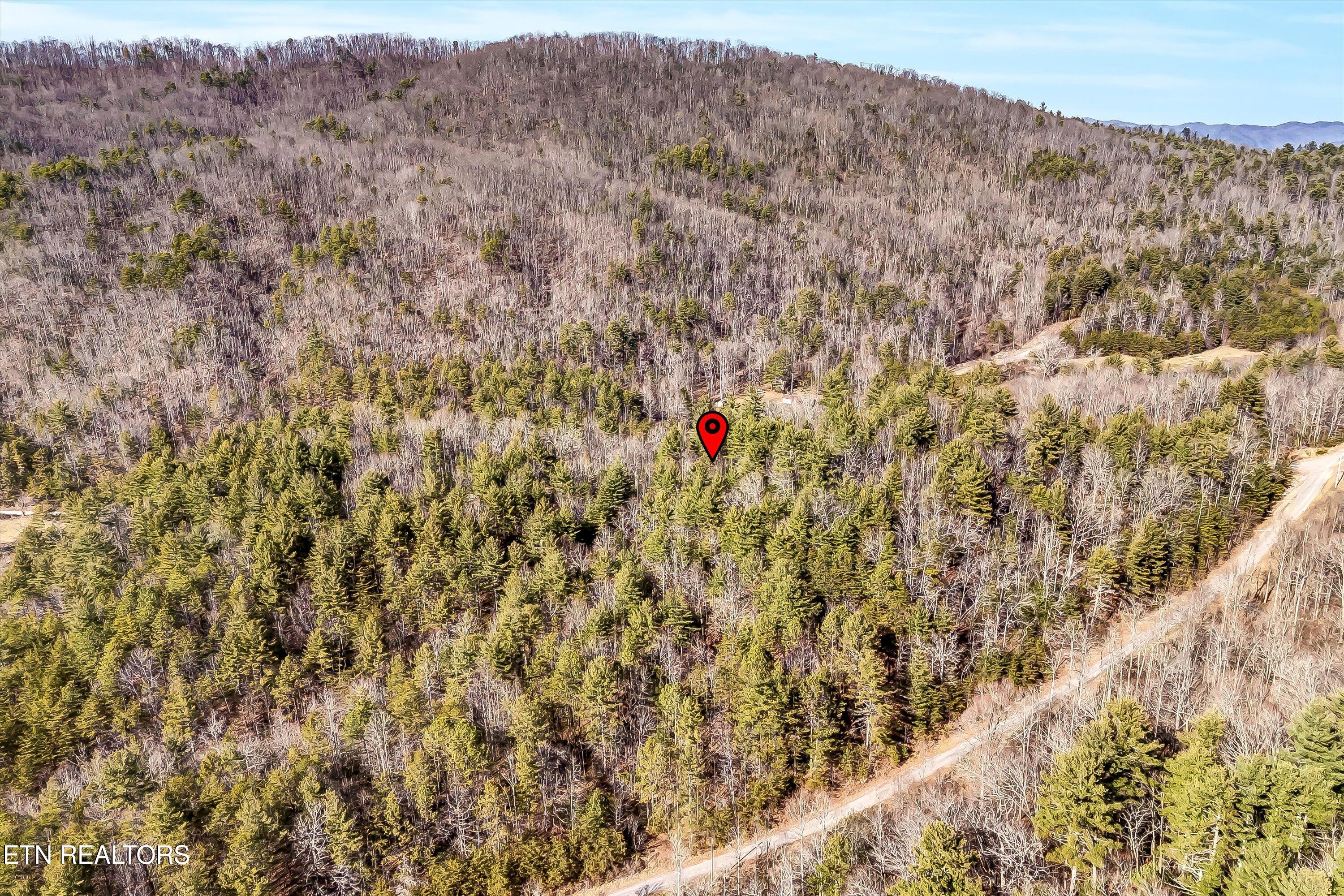 Lot 34 Hedge Maple Way Del Rio, TN 37727 - Photo 20 of 24 28-Hedge Maple Way Lot 34-28