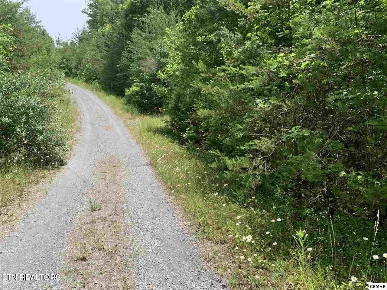 Lot 34 Hedge Maple Way Del Rio, TN 37727 - Photo 2 of 24 34 hedge maple 002