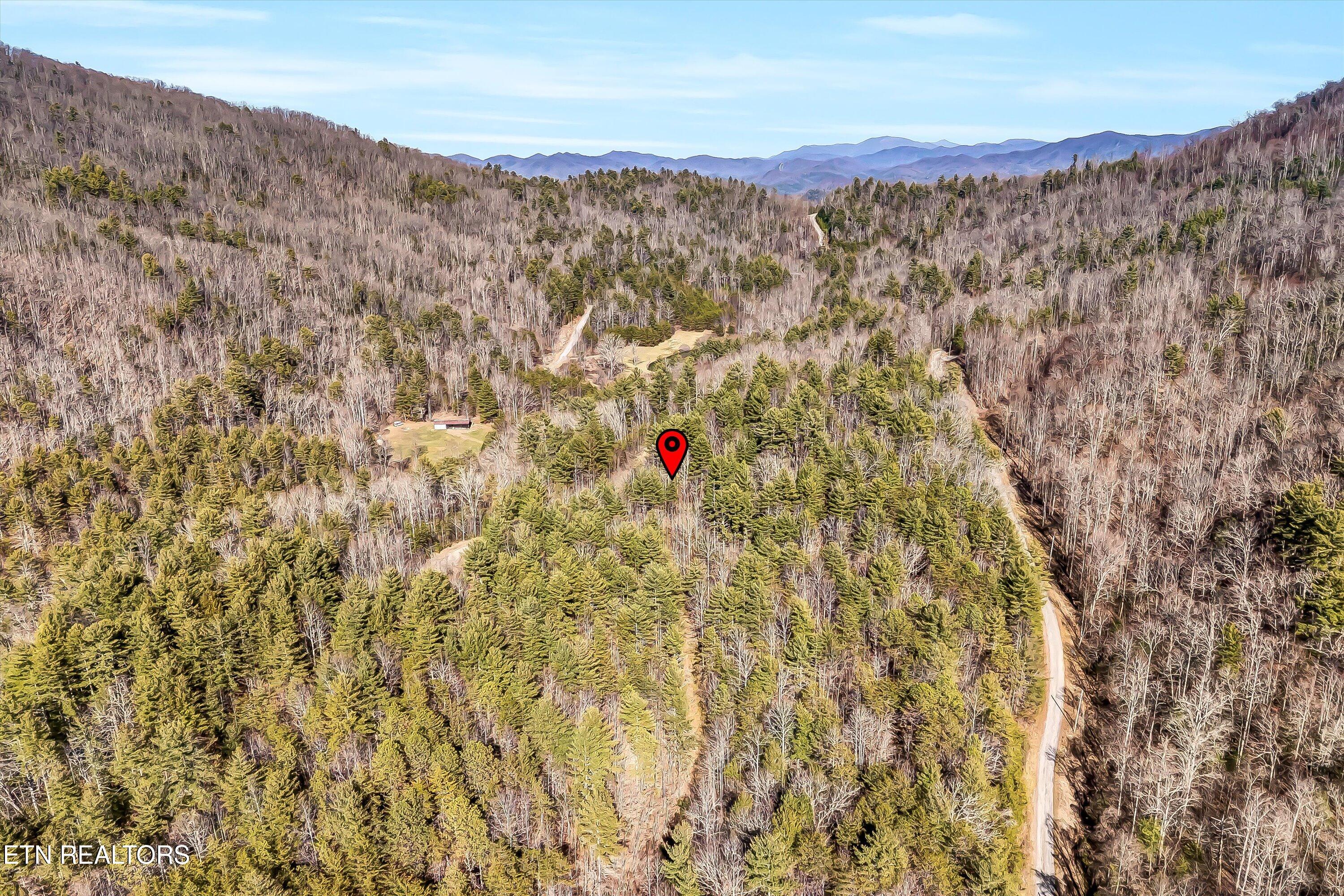 Lot 34 Hedge Maple Way Del Rio, TN 37727 - Photo 21 of 24 30-Hedge Maple Way Lot 34-30