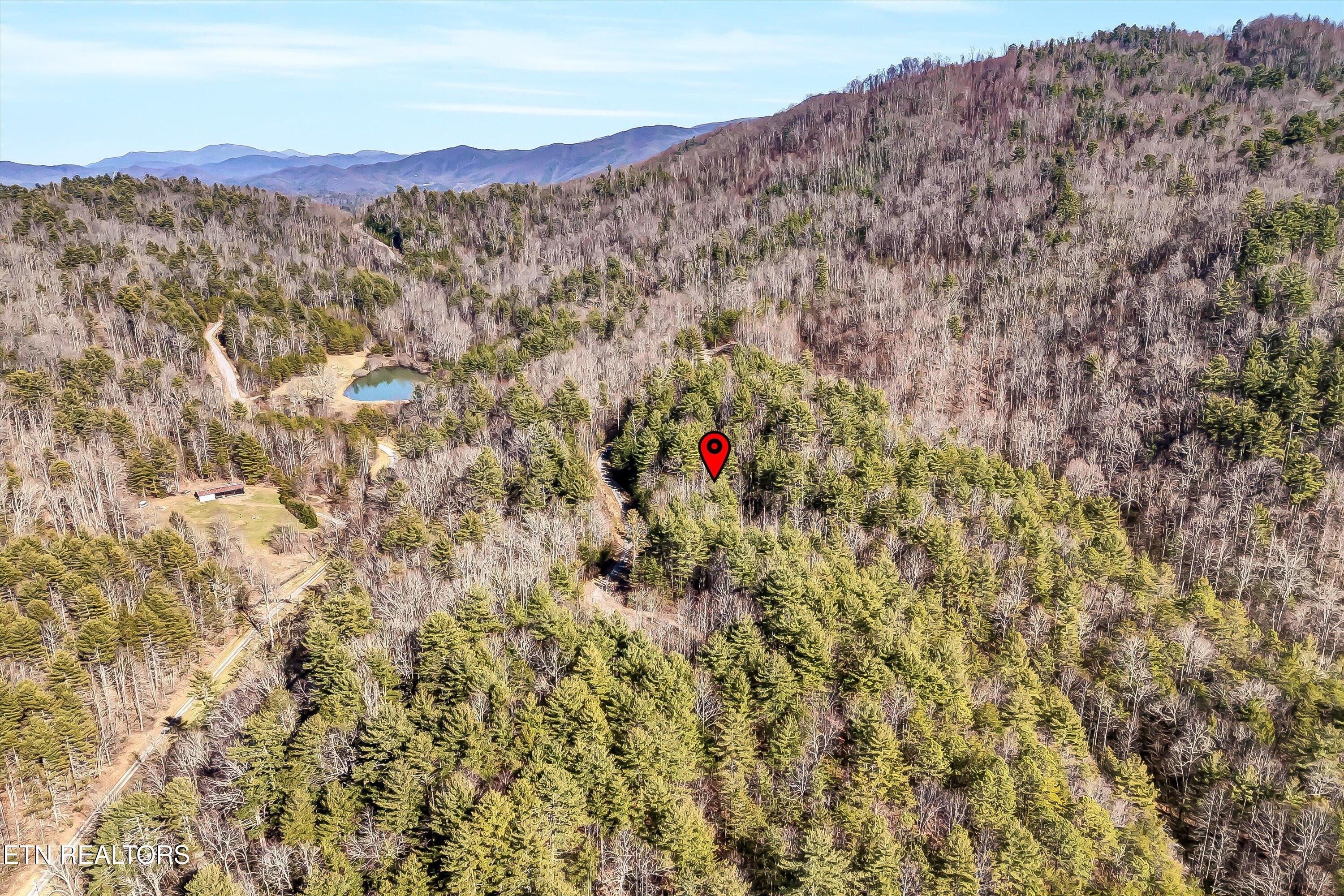 Lot 34 Hedge Maple Way Del Rio, TN 37727 - Photo 22 of 24 32-Hedge Maple Way Lot 34-32