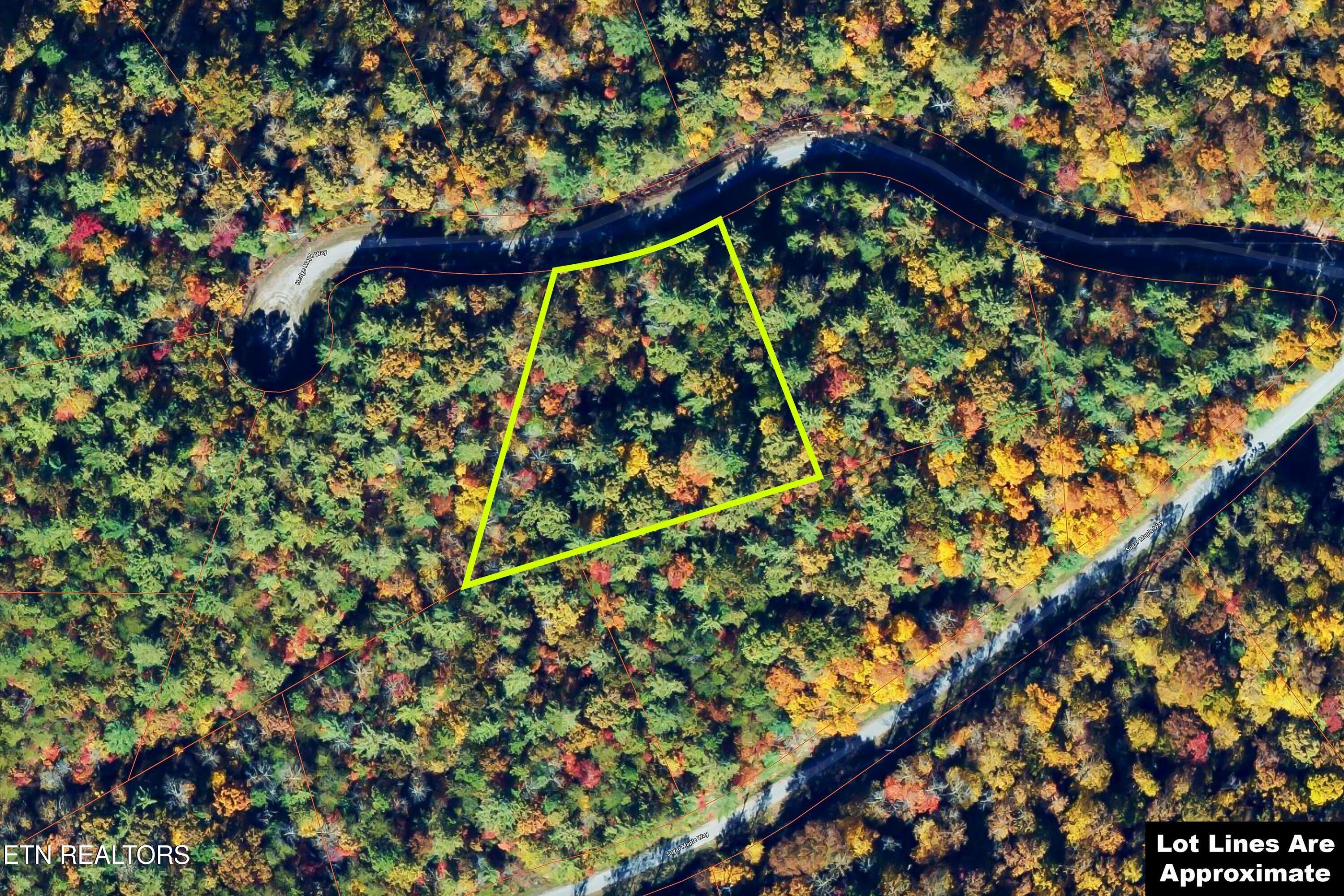 Lot 34 Hedge Maple Way Del Rio, TN 37727 - Photo 24 of 24 36-Hedge Maple Way Lot 34-36