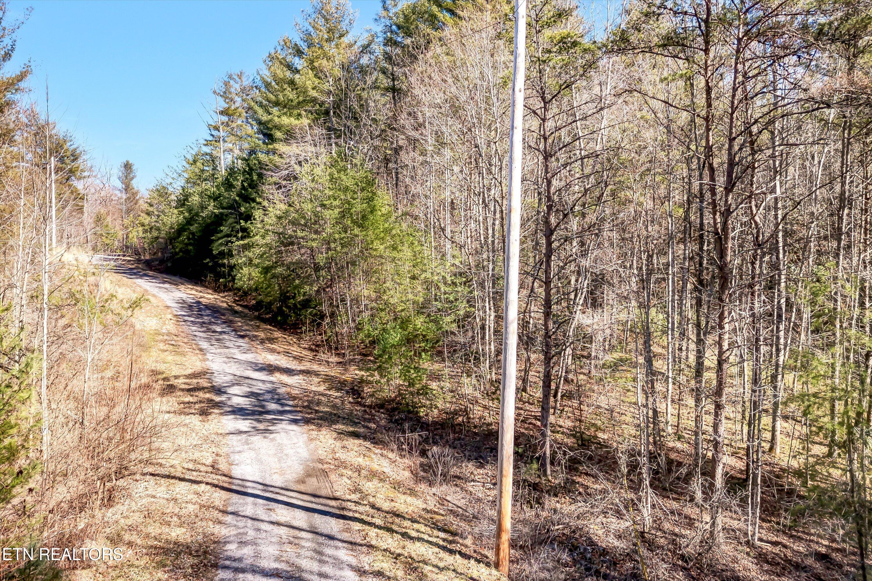 Lot 34 Hedge Maple Way Del Rio, TN 37727 - Photo 6 of 24 02-Hedge Maple Way Lot 34-2