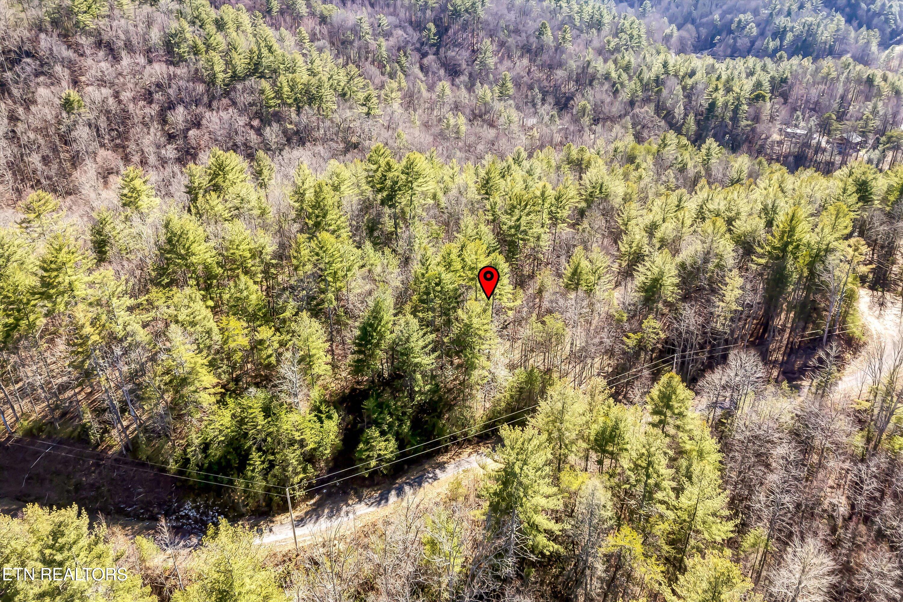 Lot 34 Hedge Maple Way Del Rio, TN 37727 - Photo 8 of 24 04-Hedge Maple Way Lot 34-4