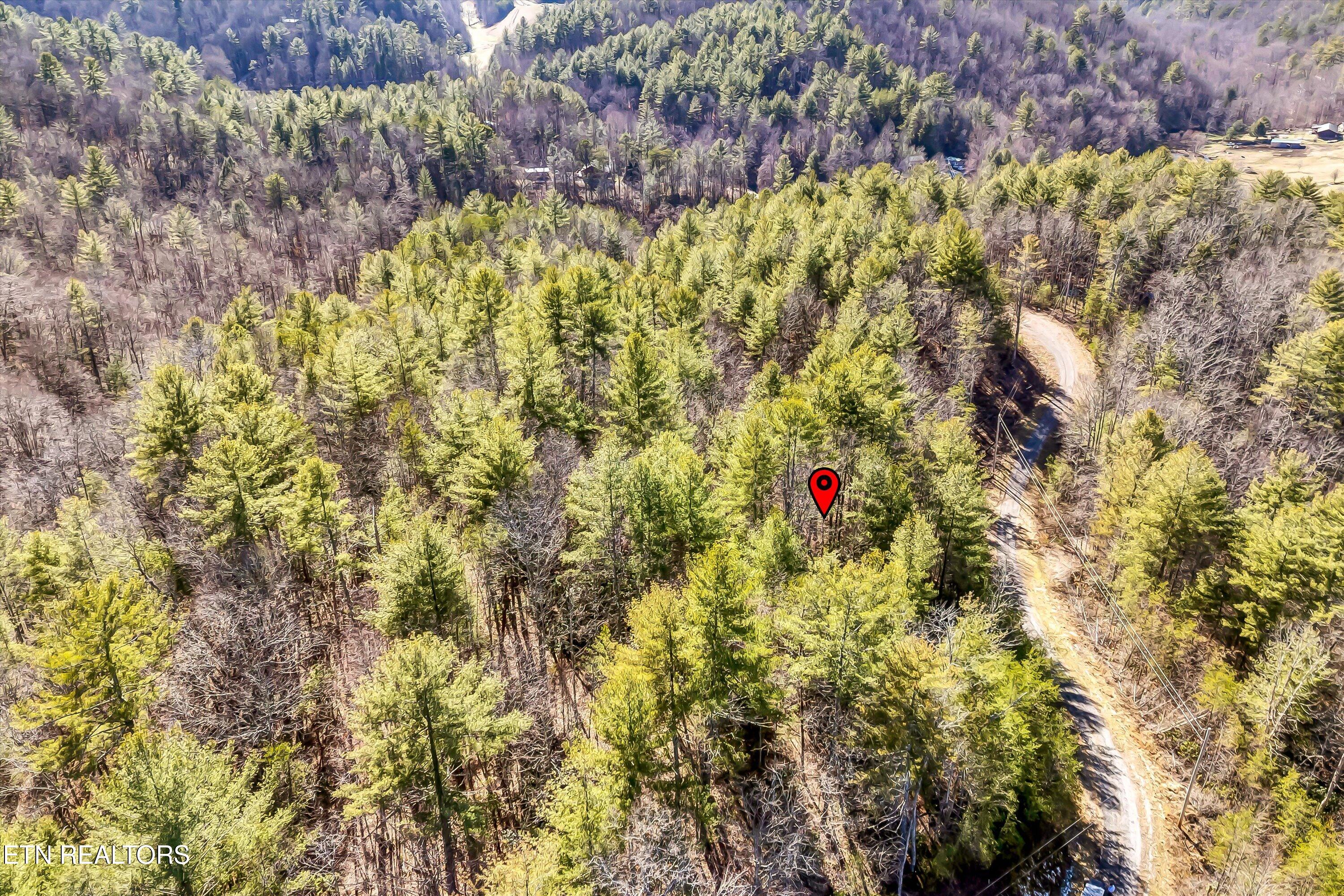 Lot 34 Hedge Maple Way Del Rio, TN 37727 - Photo 9 of 24 06-Hedge Maple Way Lot 34-6