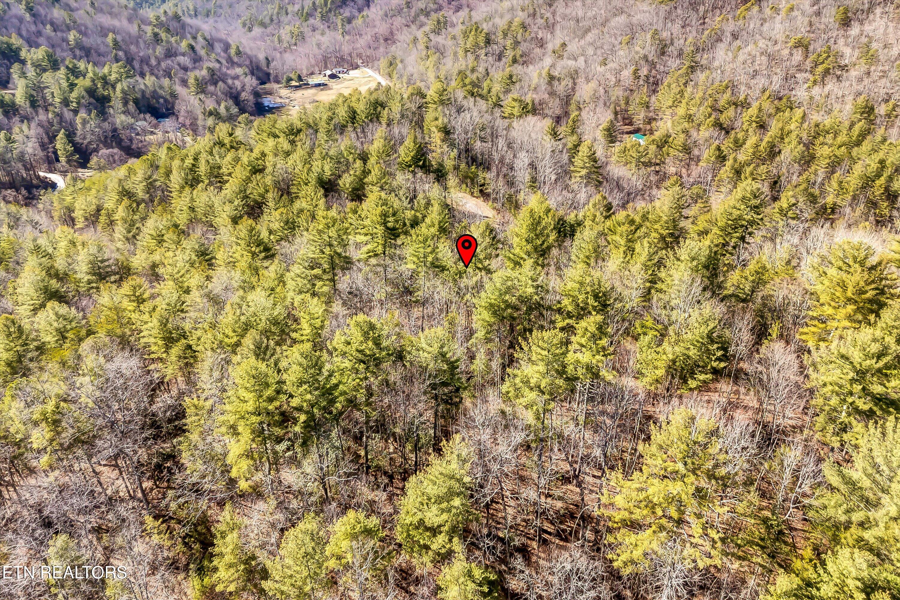 Lot 34 Hedge Maple Way Del Rio, TN 37727 - Photo 10 of 24 08-Hedge Maple Way Lot 34-8