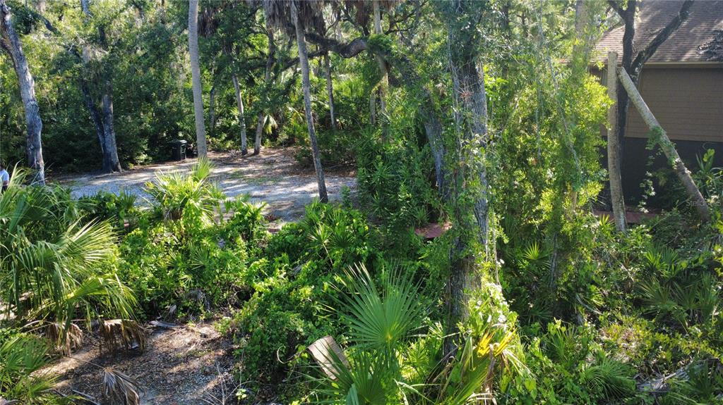 4632 Stone Ridge Trail Sarasota, FL 34232 - Photo 13 of 15 a view of outdoor space and yard