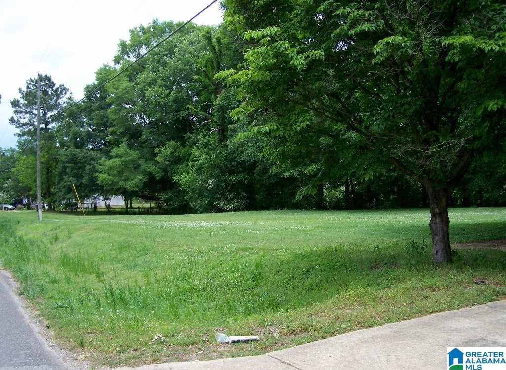 1270 White Plains Road Anniston, AL 36207 - Photo 3 of 44