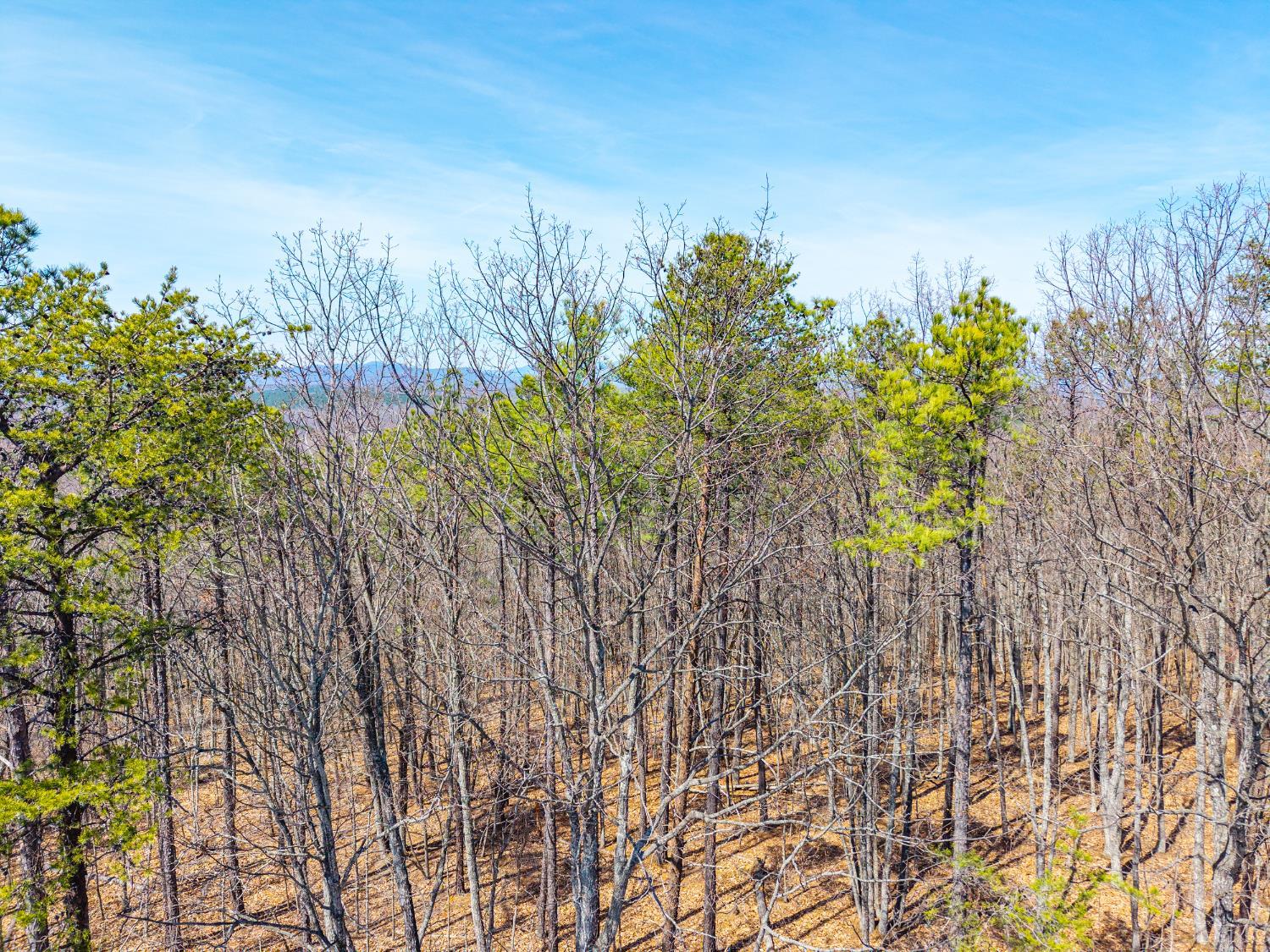 0 Larkin Mountain Road Amherst, VA 24521 - Photo 29 of 35