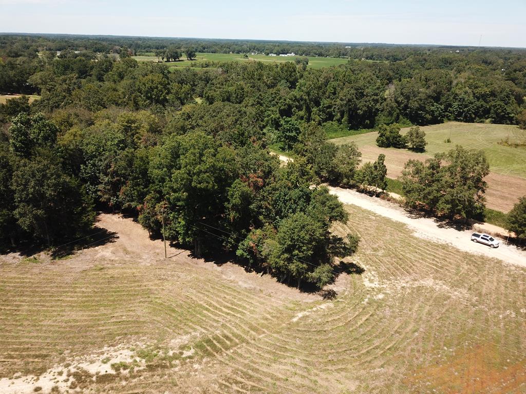 Lot 7 Acres Grady Garner Road Slocomb, AL 36375 - Photo 35 of 58