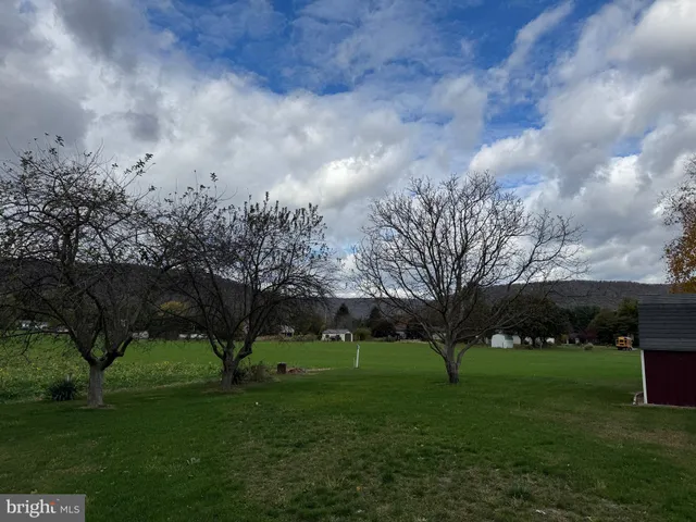 a view of backyard with green space
