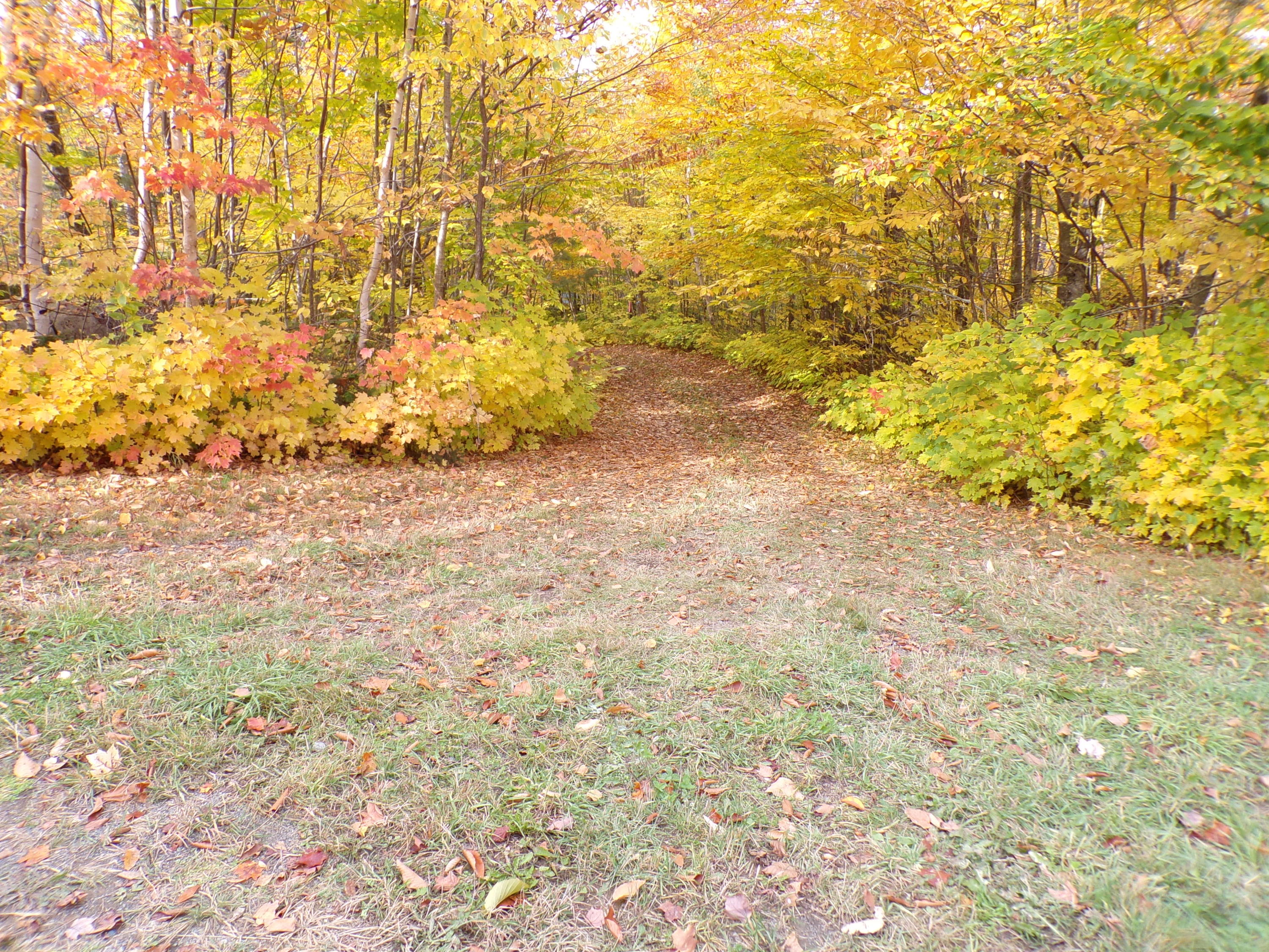 999 Sugar Berth Road Oxbow, ME 04764 - Photo 59 of 59 102_0405