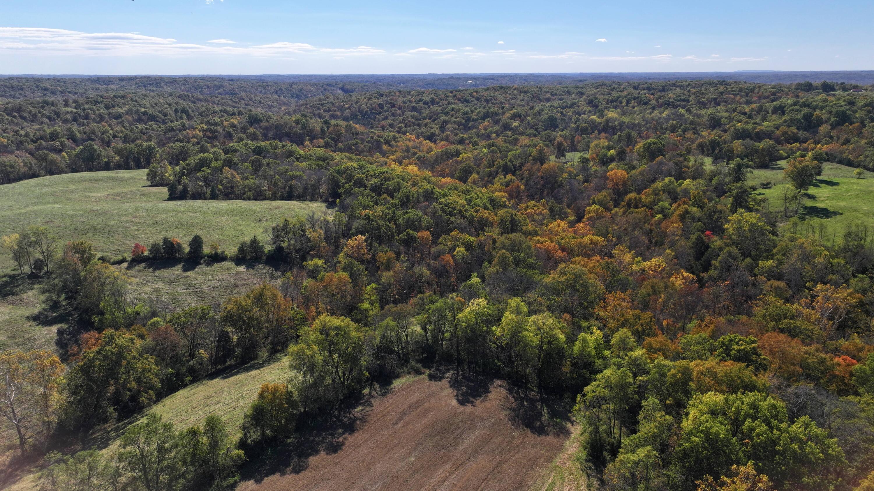3575 Greenup Road Owenton, KY 40359 - Photo 44 of 49