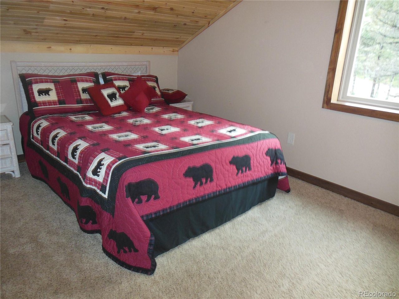 3461 Copper Mtn Road Cotopaxi, CO 81223 - Photo 21 of 24