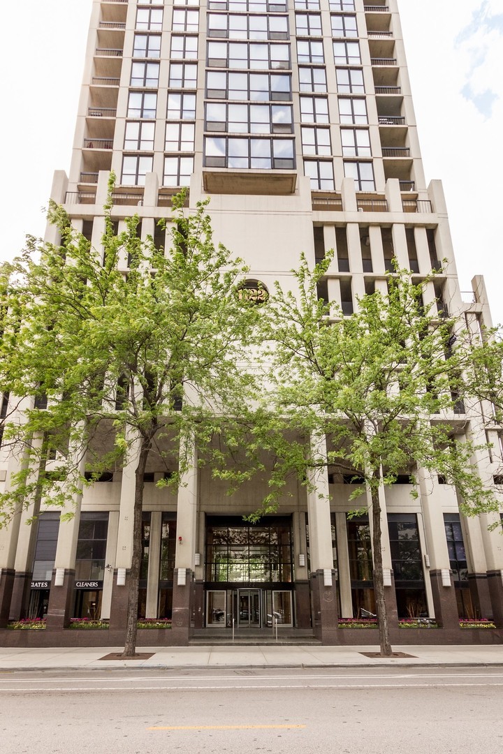 1122 North Clark St Unit 3602  