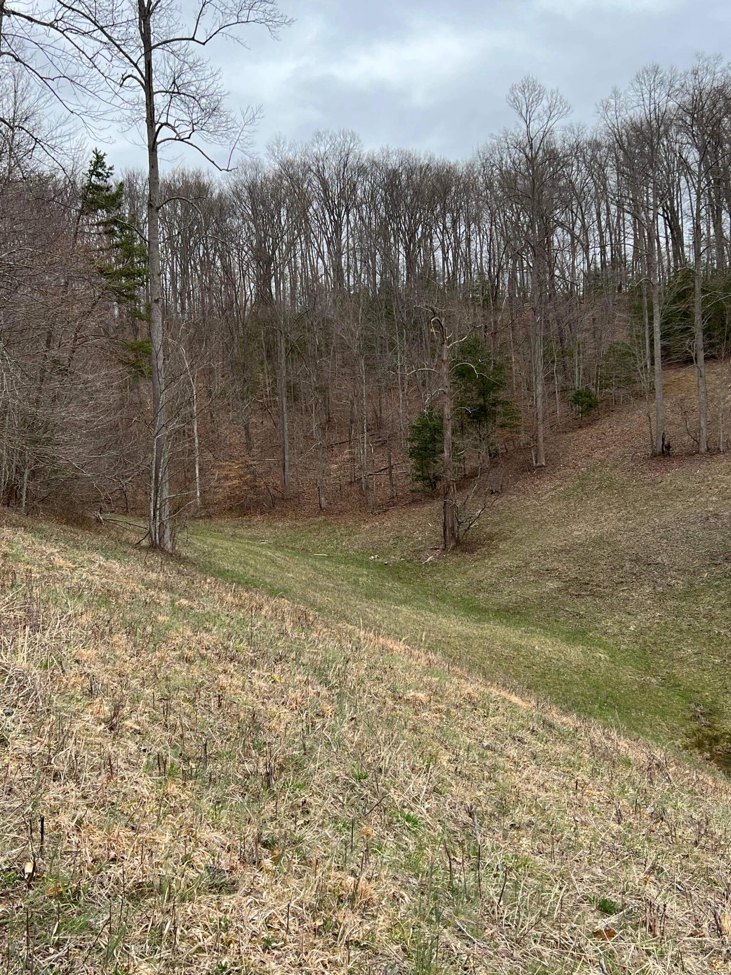 1 Dunn Road Campton, KY 41301 - Photo 9 of 69 IMG_7972