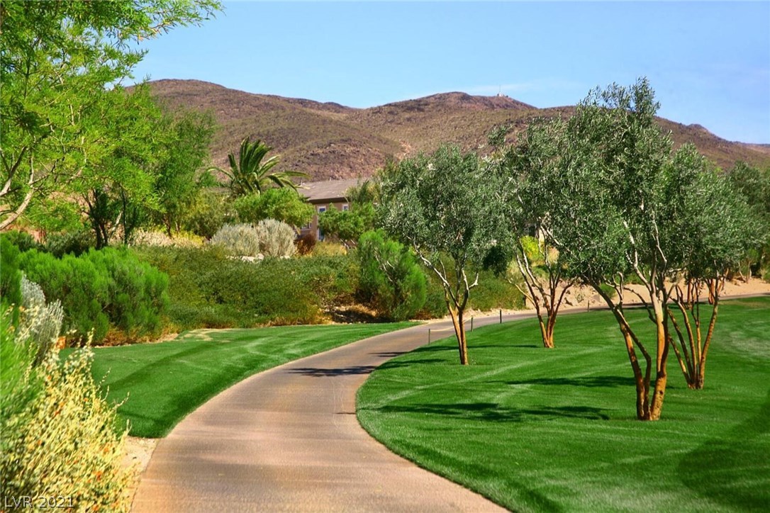 547 Cityview Ridge Drive Henderson, NV 89012 - Photo 15 of 22