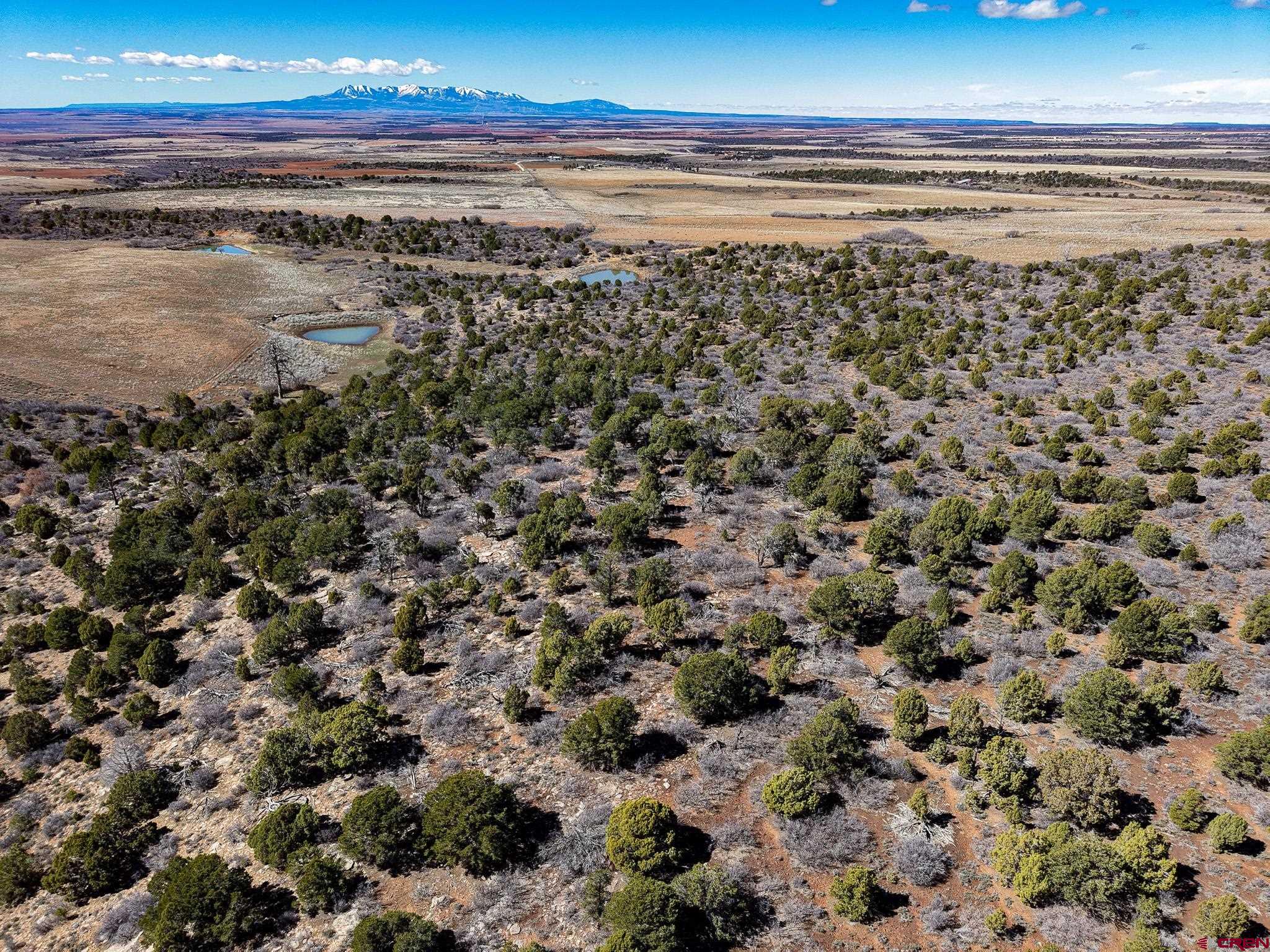Tbdwp County Line Road Dove Creek, CO 81324 - Photo 16 of 41 Gallery Image 16