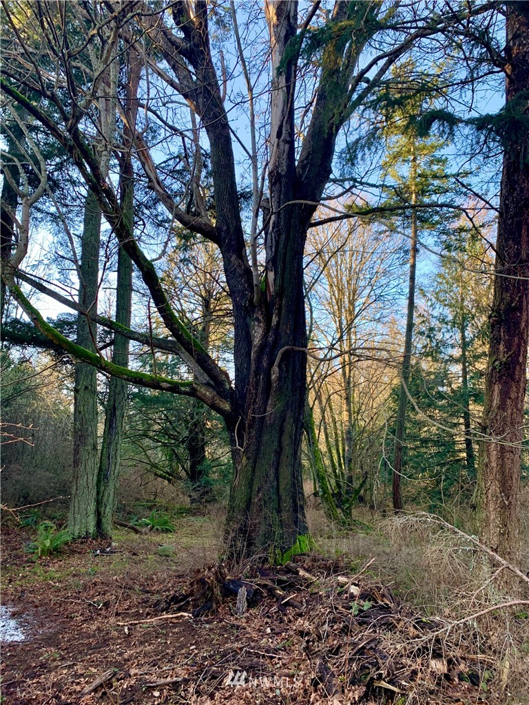 0 West Shore Road Anacortes, WA 98221 - Photo 1 of 1 Gallery Image 1