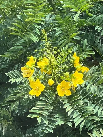 a bathroom with a swimming pool