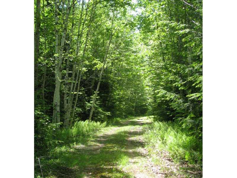 23 Trapper's Point Road Lakeville, ME 04487 - Photo 26 of 35 Land/Lot. The land offers a...
