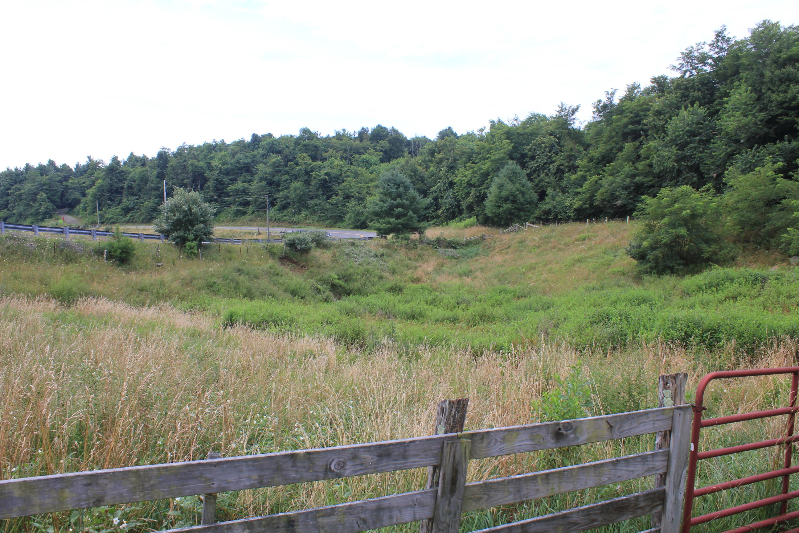 1301 Rock Church Road Floyd, VA 24091 - Photo 11 of 25 IMG_4318