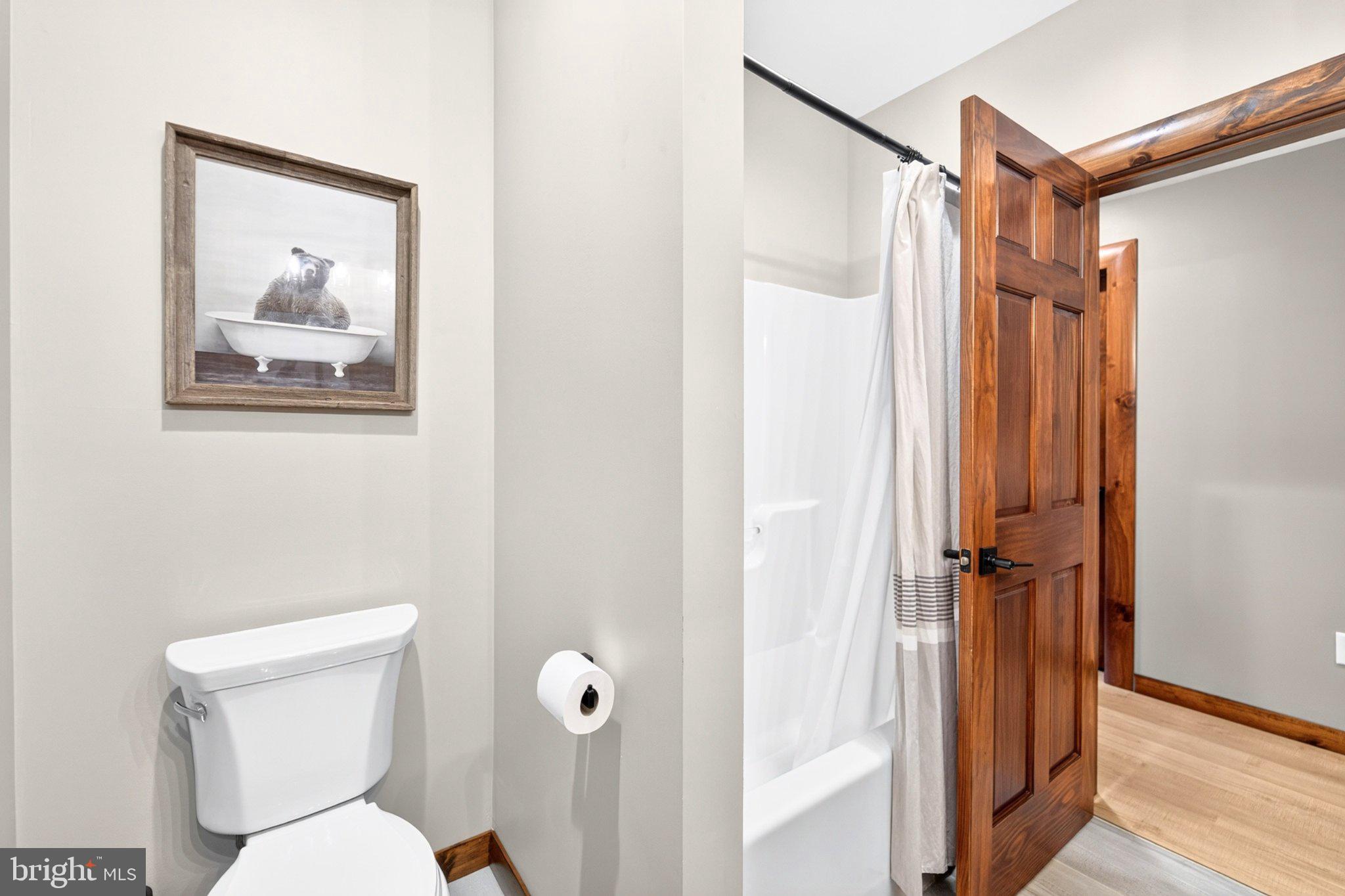 1083 North Camp Road McHenry, MD 21541 - Photo 48 of 104 Gallery Image 48