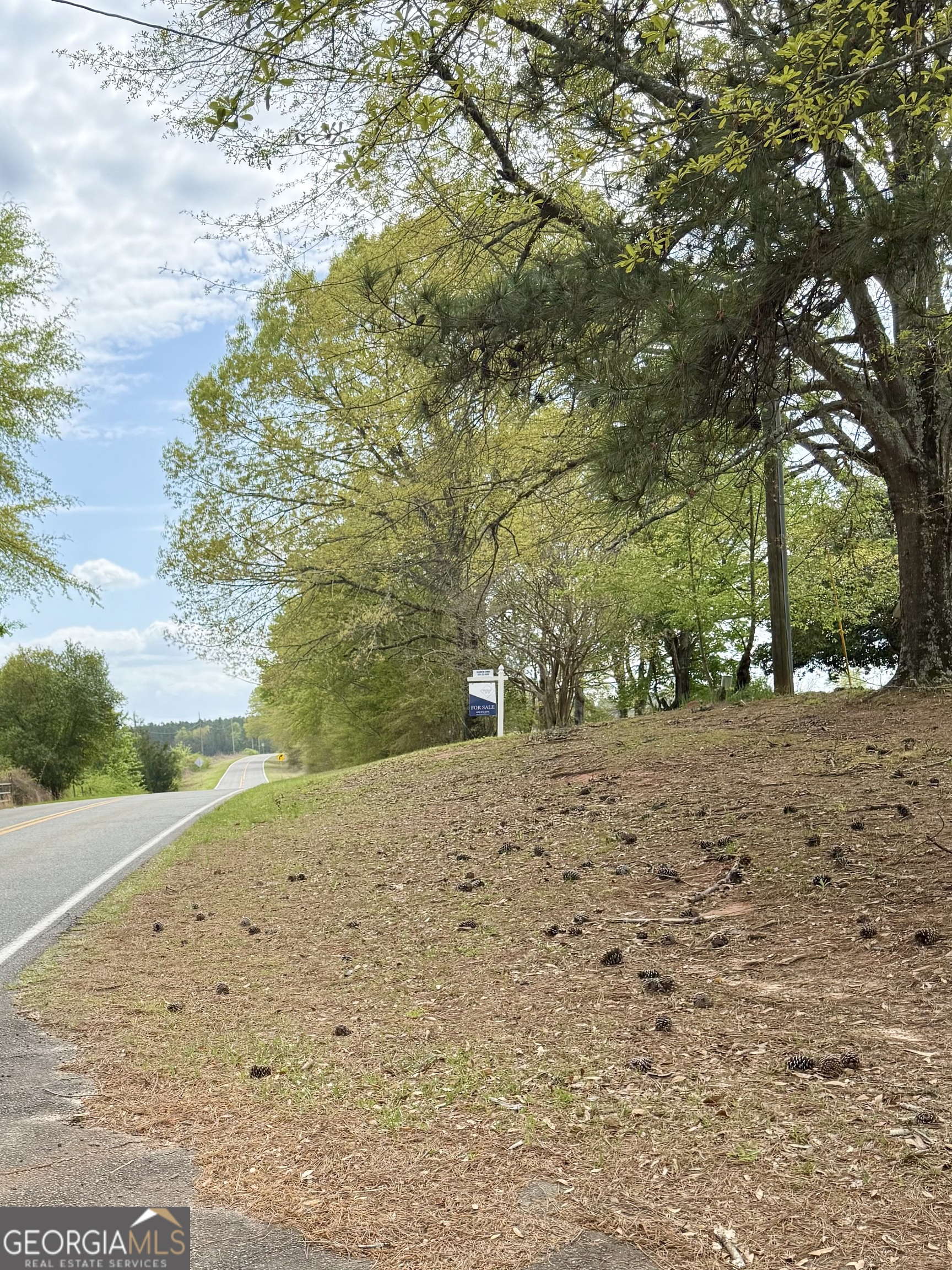 2235 Long Branch Road Toomsboro, GA 31090 - Photo 16 of 33