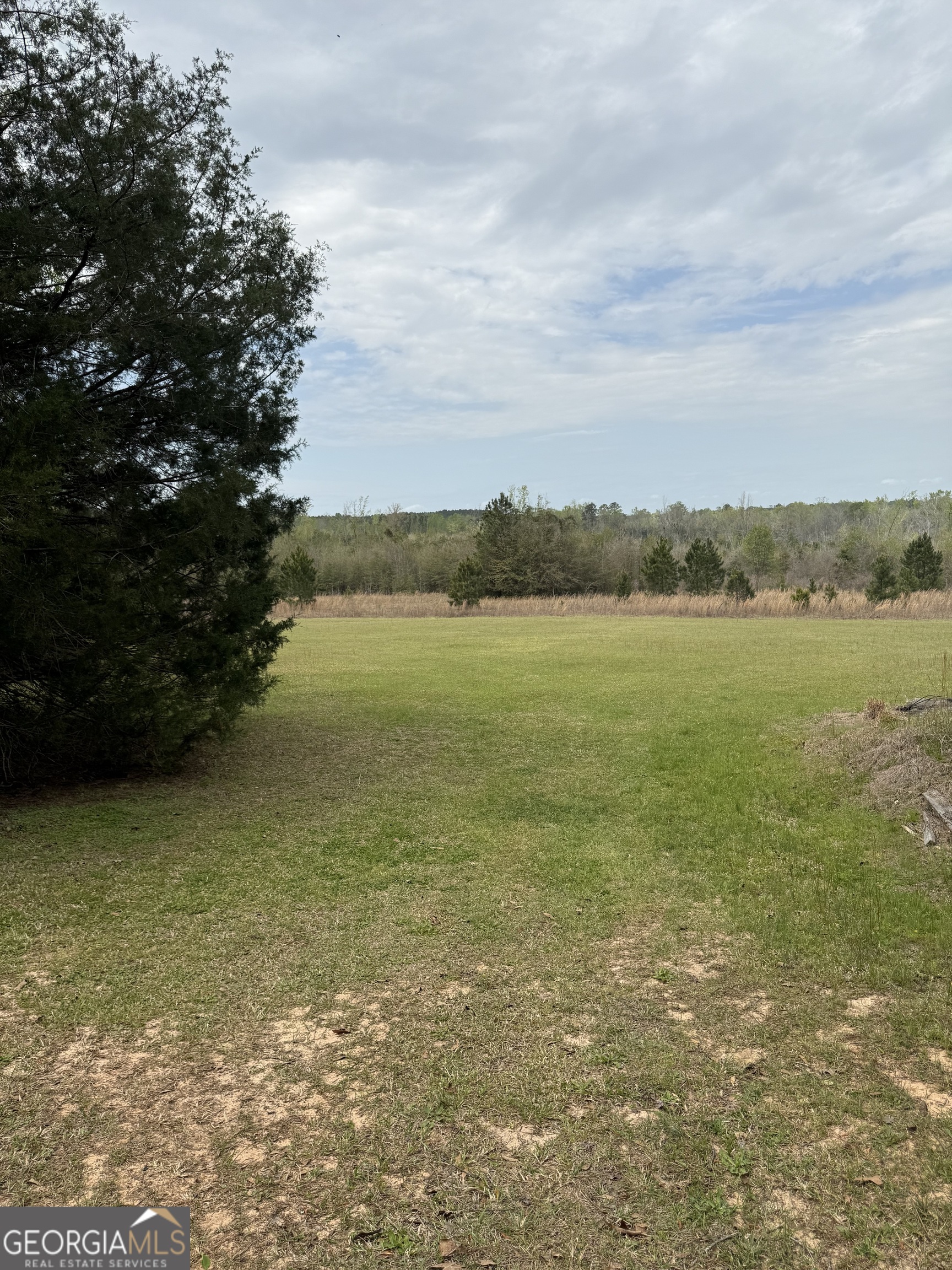 2235 Long Branch Road Toomsboro, GA 31090 - Photo 18 of 33