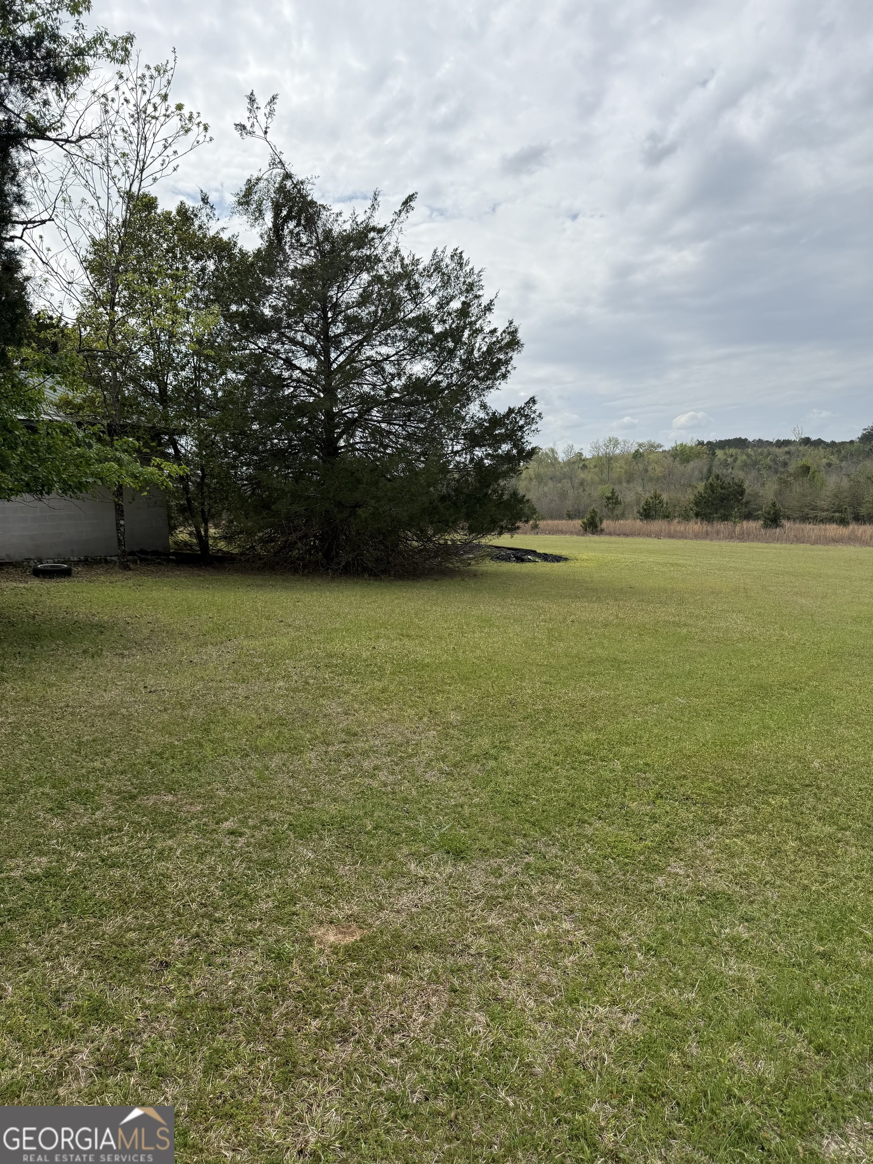2235 Long Branch Road Toomsboro, GA 31090 - Photo 20 of 33