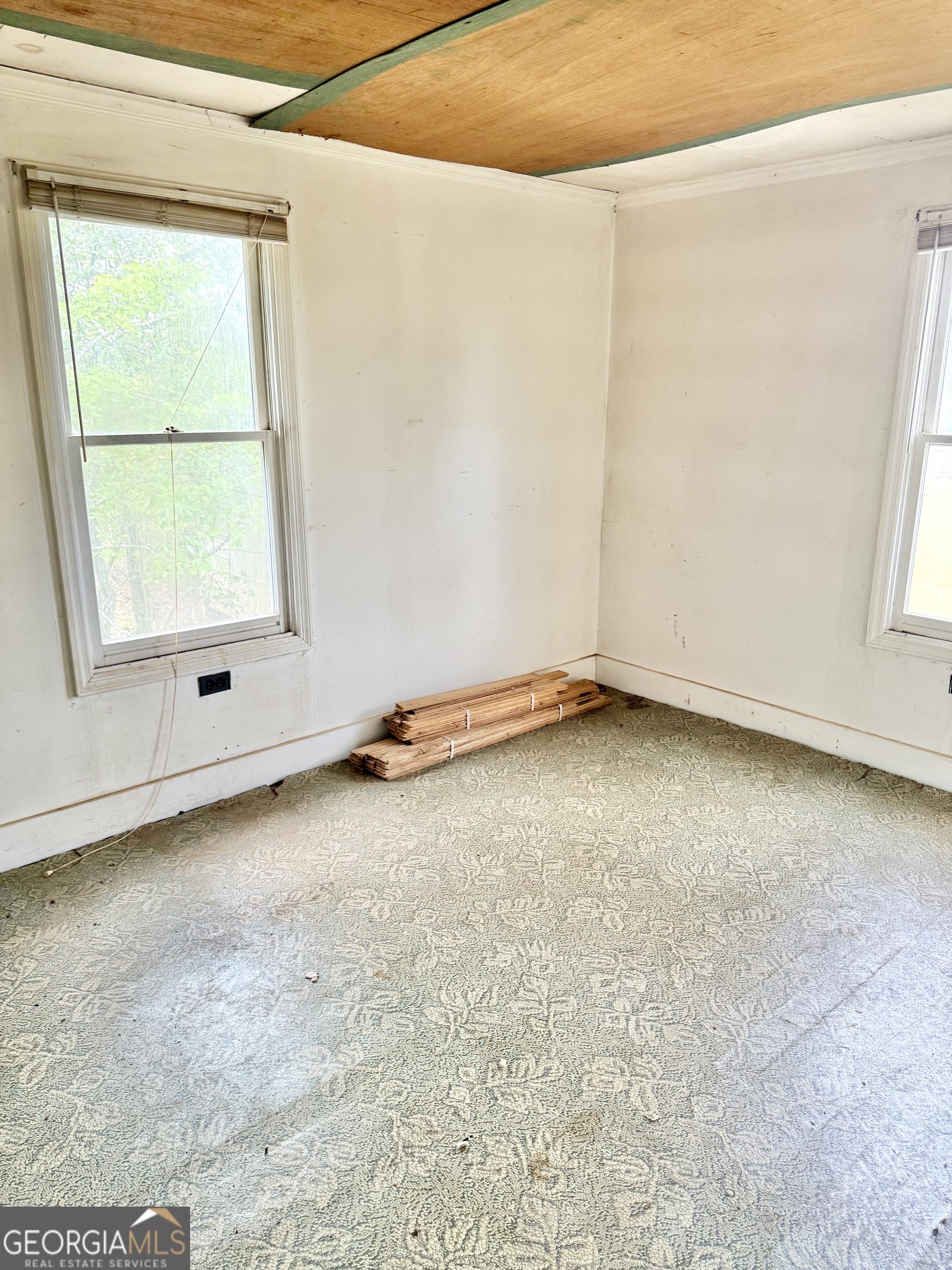 2235 Long Branch Road Toomsboro, GA 31090 - Photo 32 of 33