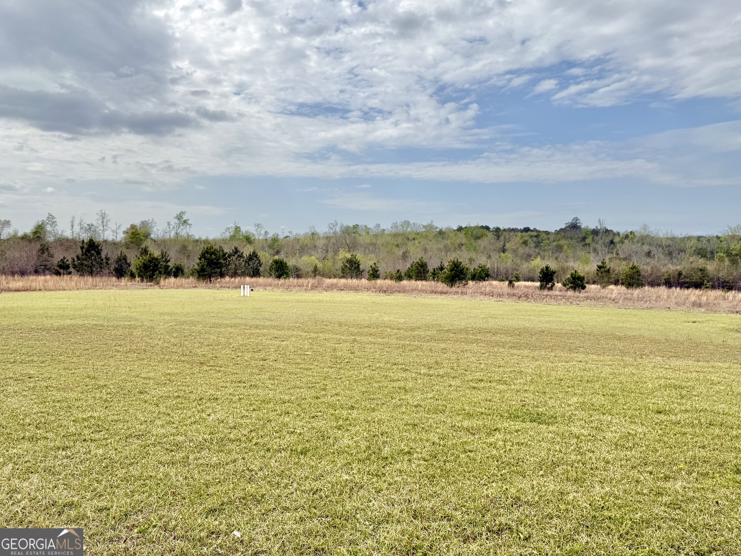 2235 Long Branch Road Toomsboro, GA 31090 - Photo 9 of 33