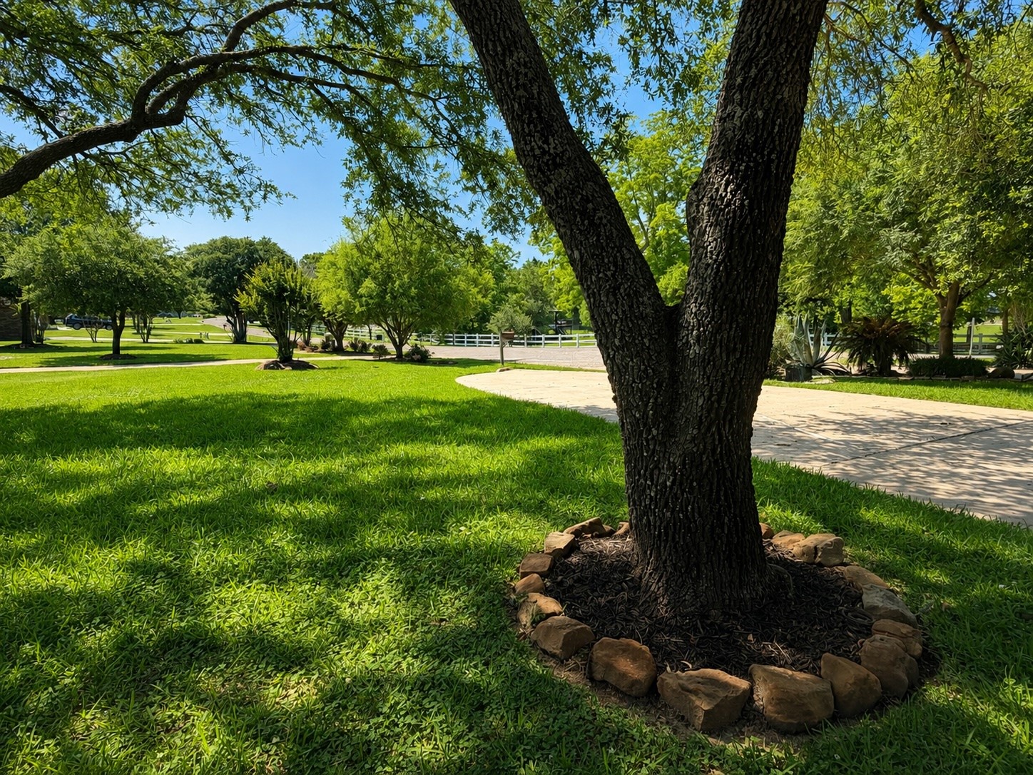 430 Fawn Road Livingston, TX 77351 - Photo 42 of 47 a view of a backyard with large trees