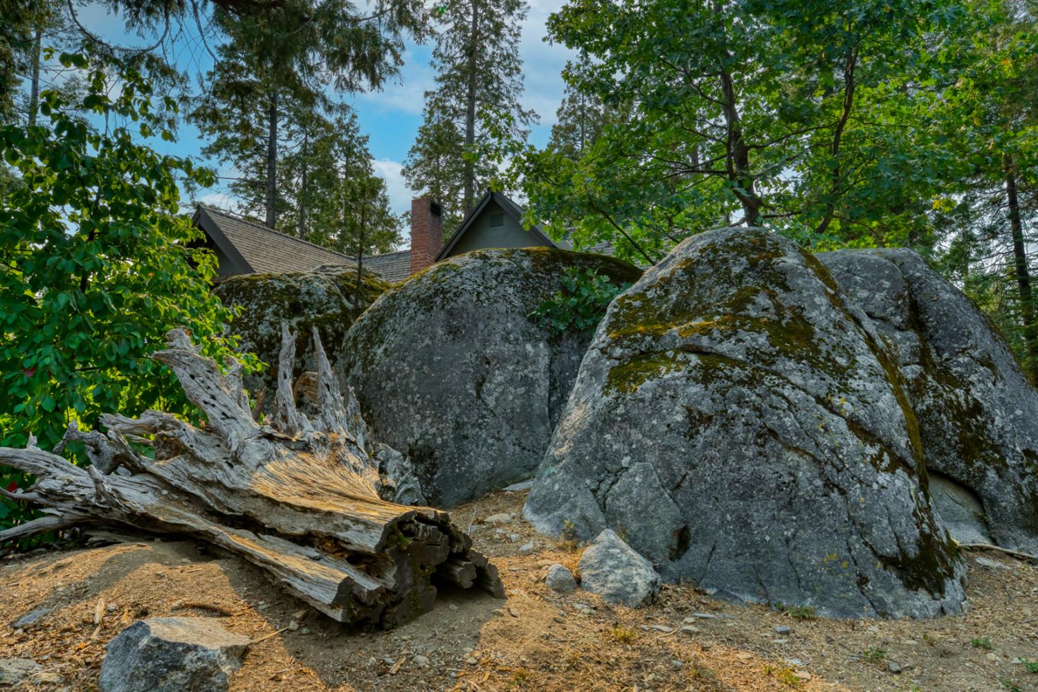 38848 Ridge Road Shaver Lake, CA 93664 - Photo 12 of 81